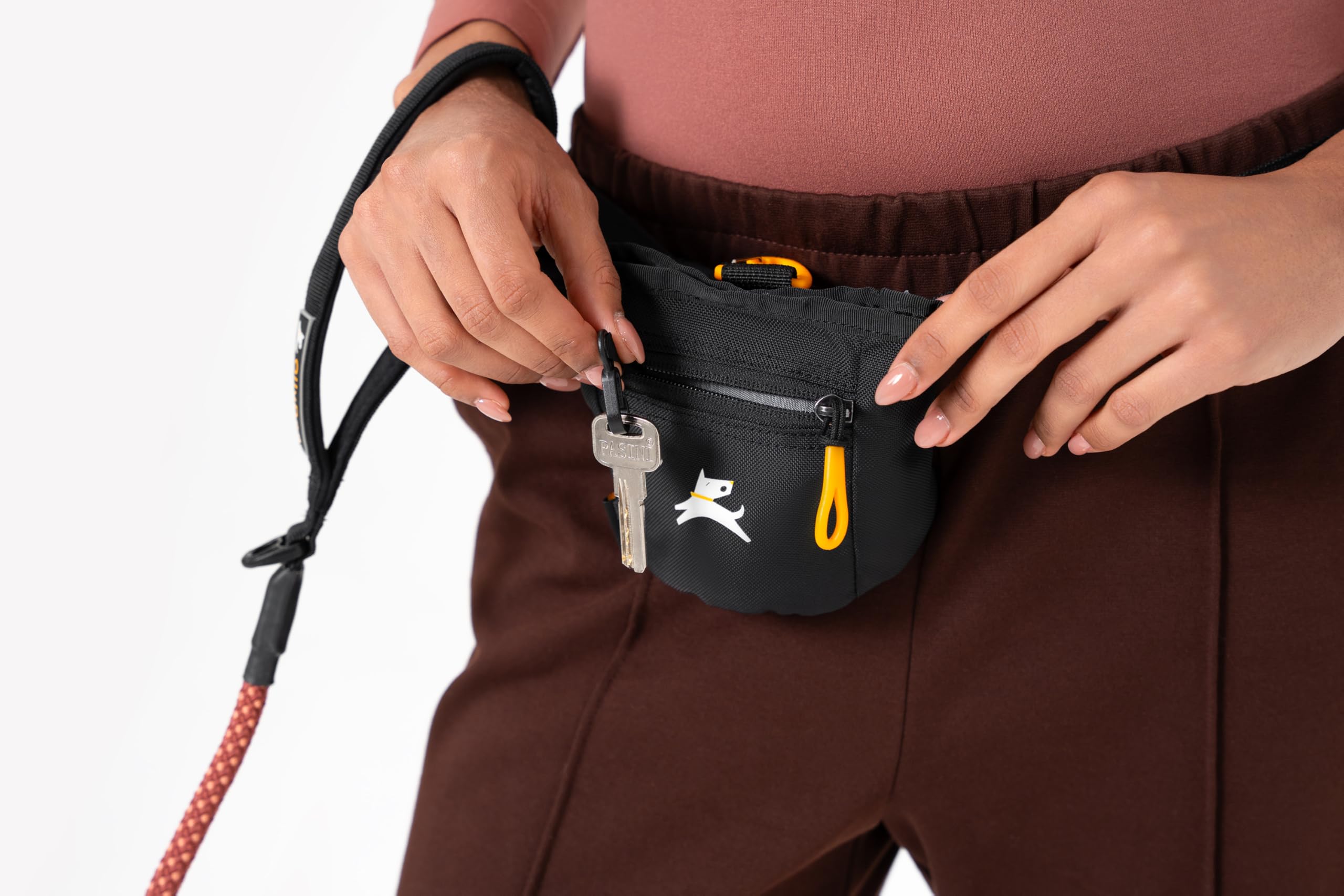 OllyDog Goodie Treat Bag, Dog Treat Pouch, Waist Belt Clip for Hands-Free Training, Magnetic Closure, Dog Training and Behavior