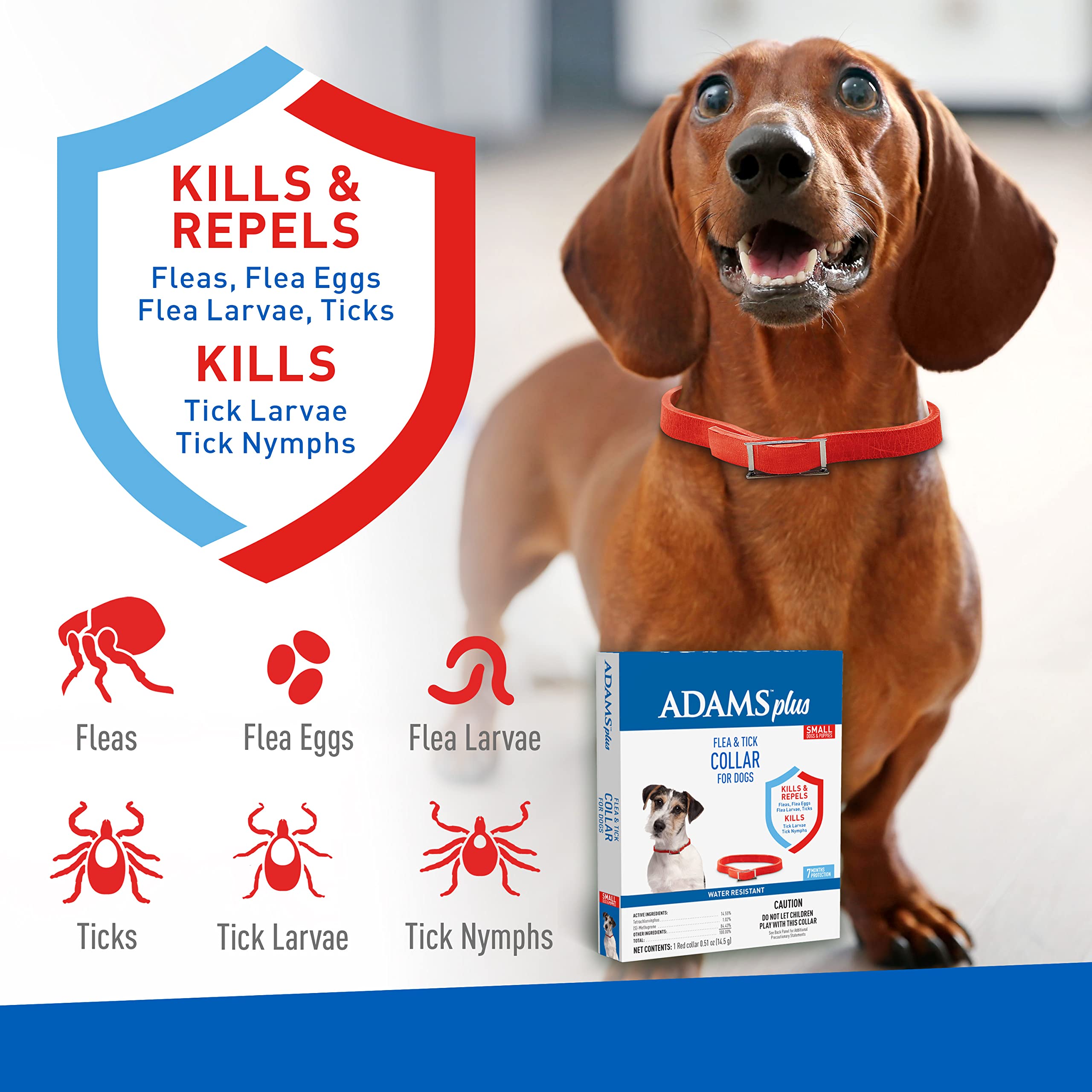 Adams Plus Flea & Tick Collar For Dogs, 7-Month Protection, Adjustable Collar Fits Small Dogs & Puppies, Kills & Repels Fleas, Flea Eggs, Flea Larvae, And Ticks, Kills Tick Larvae And Tick Nymphs