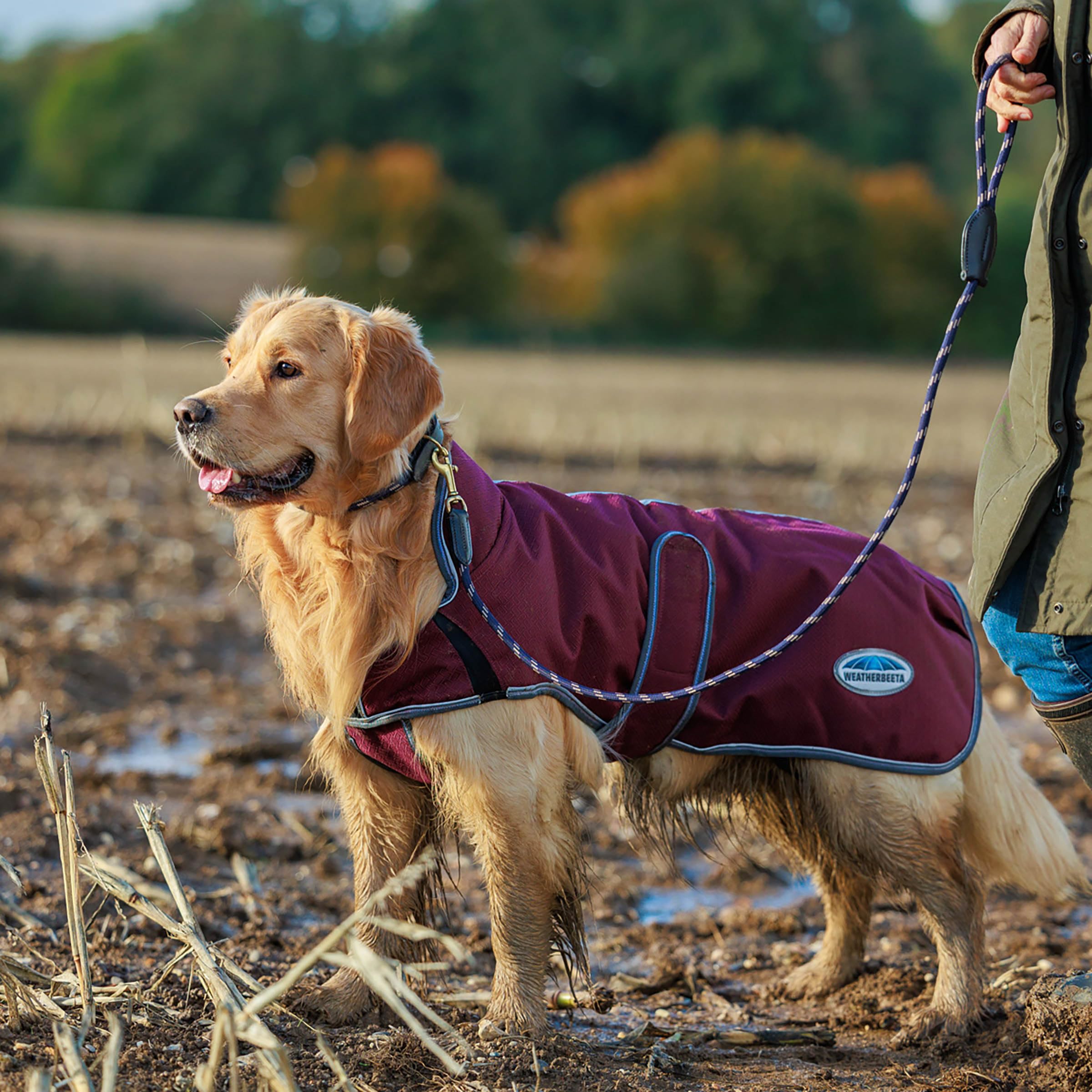 Weatherbeeta Comfitec Premier Free Parka Deluxe Dog Coat Medium, Maroon/Grey/White, 20''