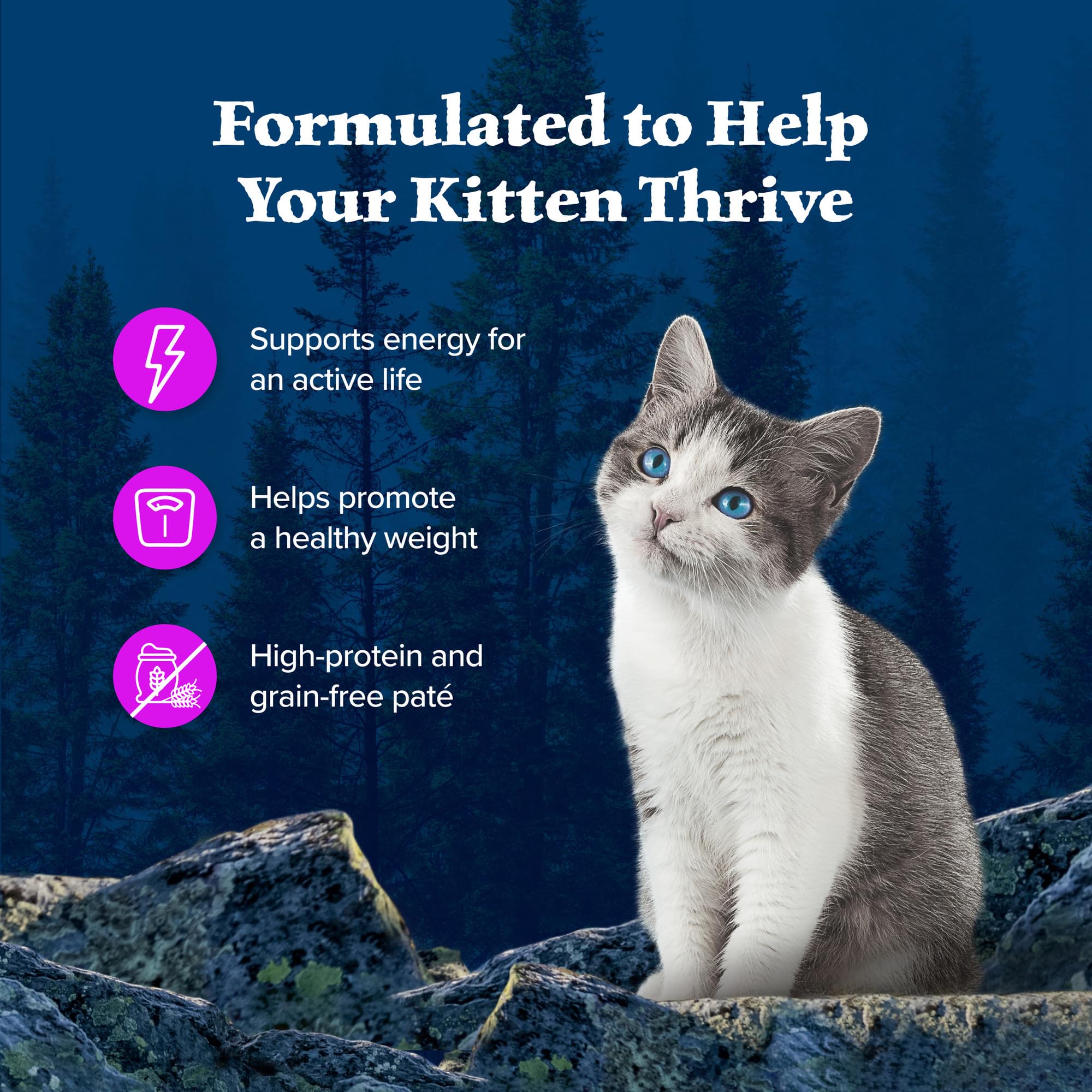Blue Buffalo Wilderness Natural High Protein Grain Free Salmon Pate Wet Food for Kittens, 3 oz., Case of 24