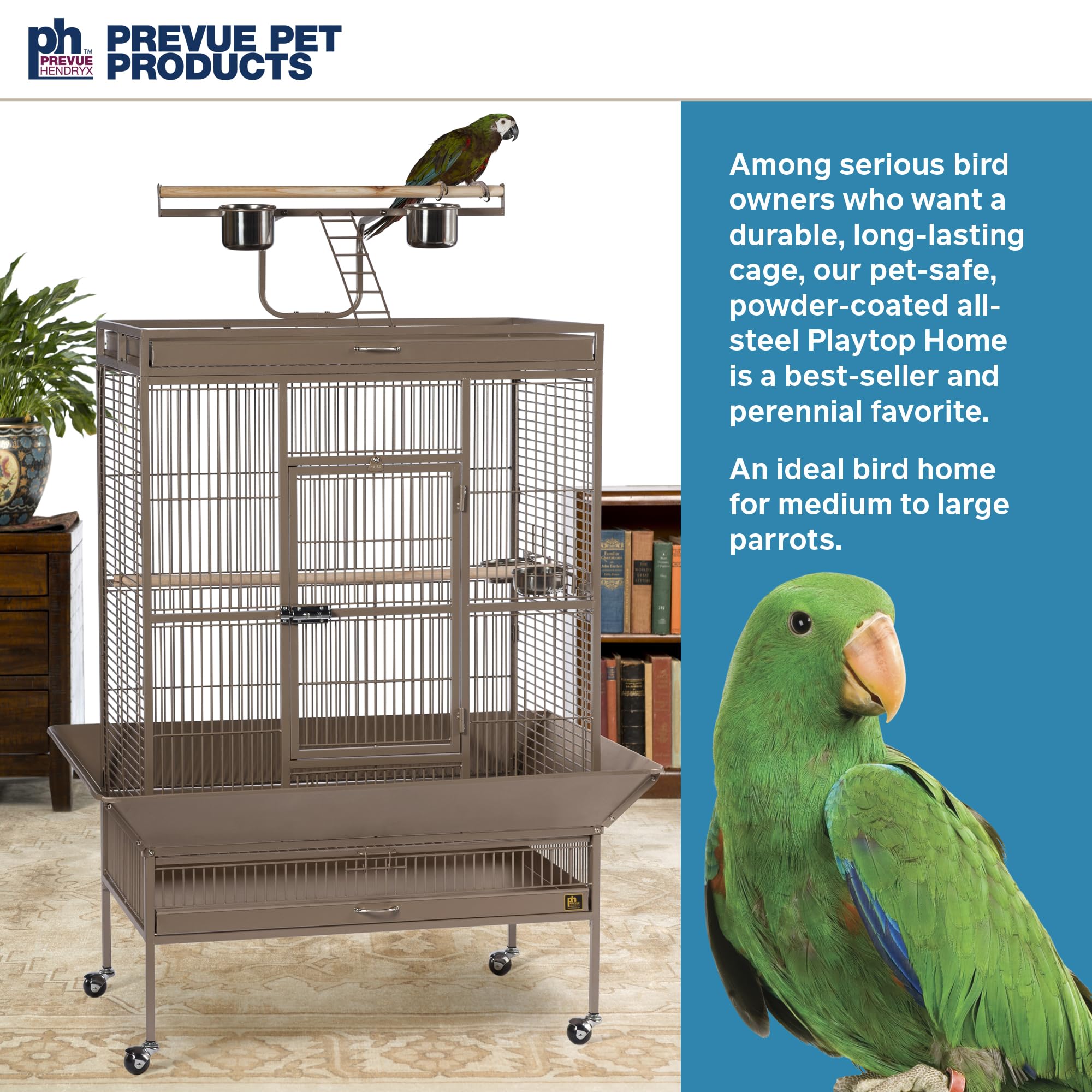 Prevue Pet Products Wrought Iron Select Bird Cage 3154COCO, Coco Brown, 36-Inch by 24-Inch by 66-Inch