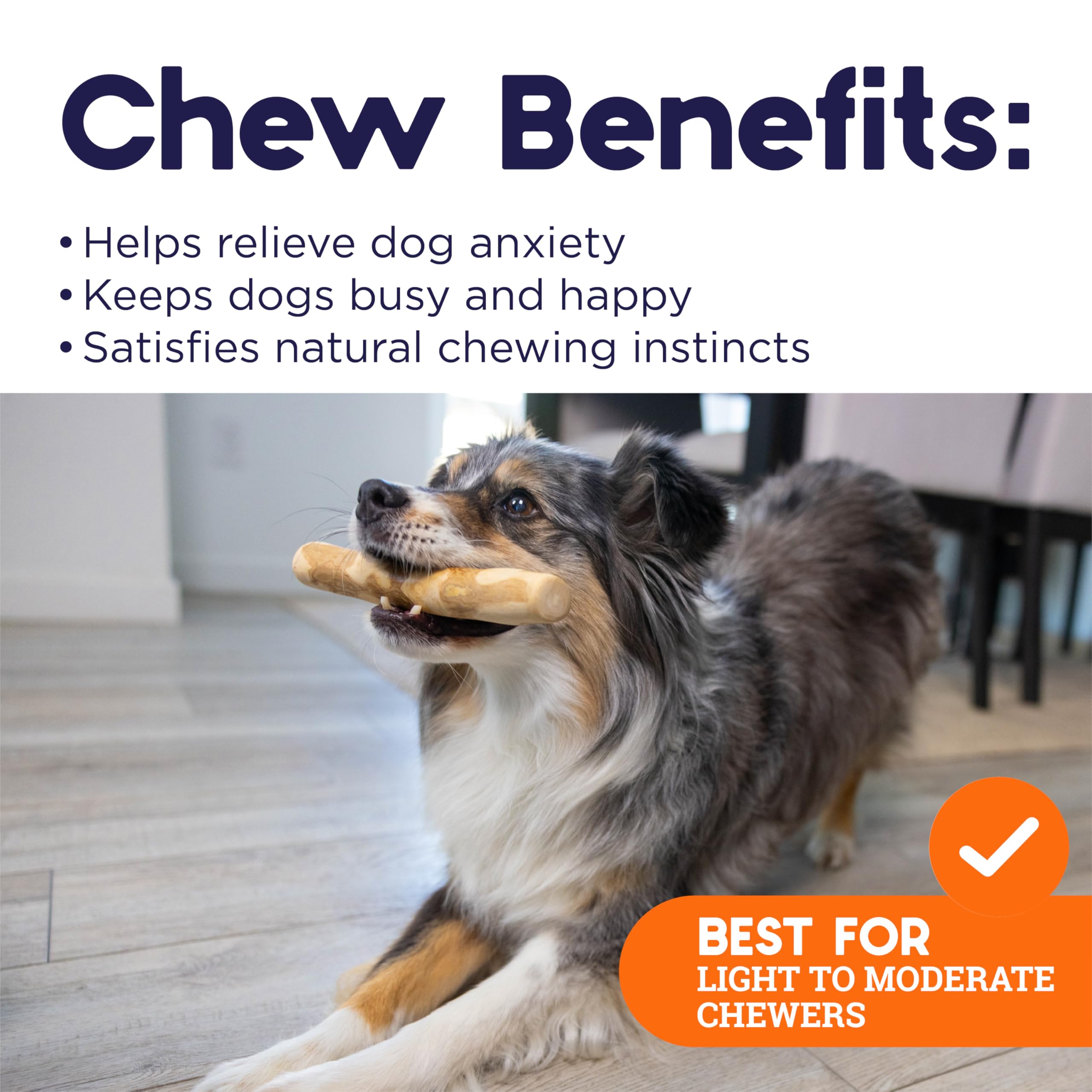 Petstages Coffee Wood Dog Chew Stick - Medium Natural Wood Toy for Light to Moderate Chewers, Sustainably Sourced