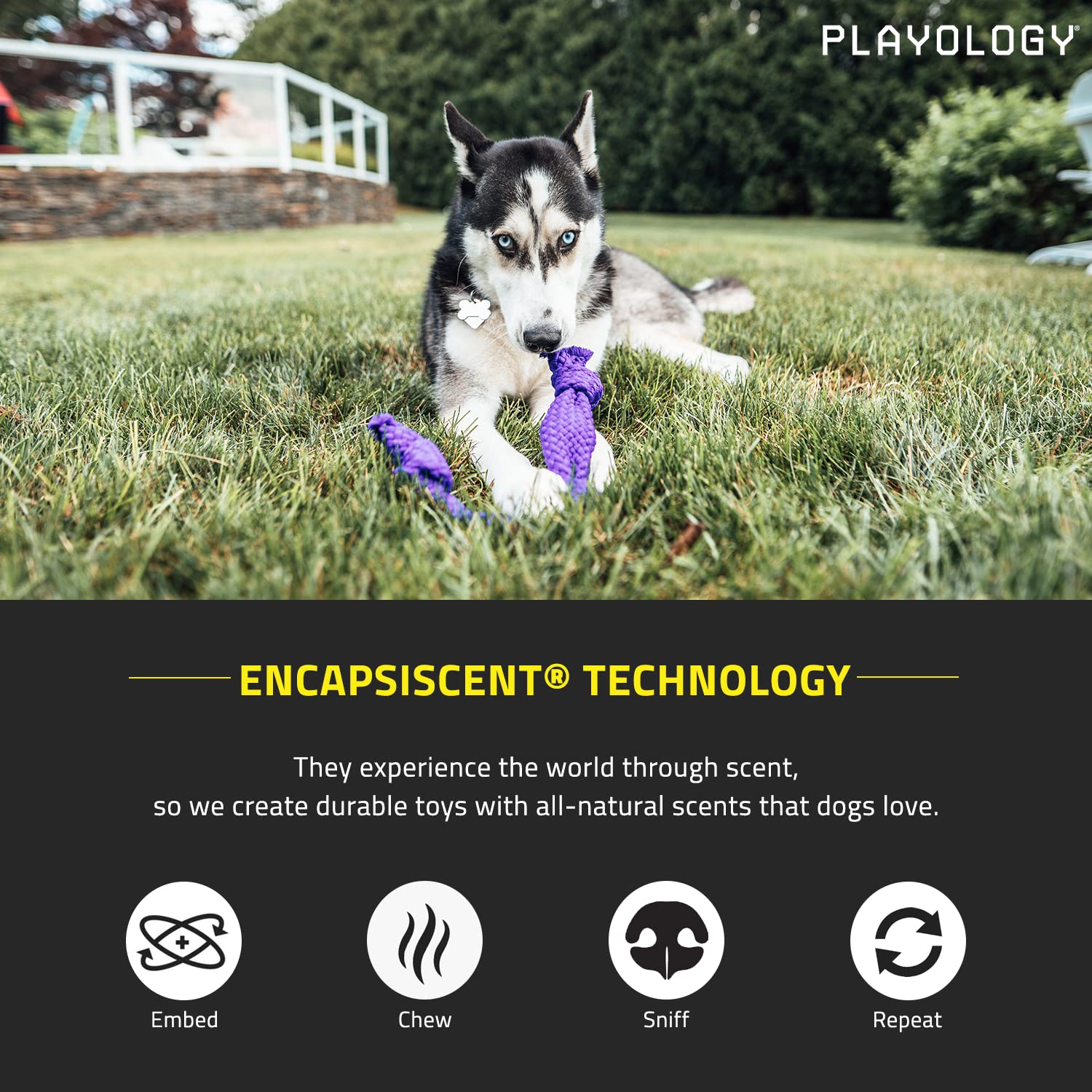 Playology Silver - Dental Rope Dog Toy - Designed for Senior Dogs - Engaging All-Natural Scent