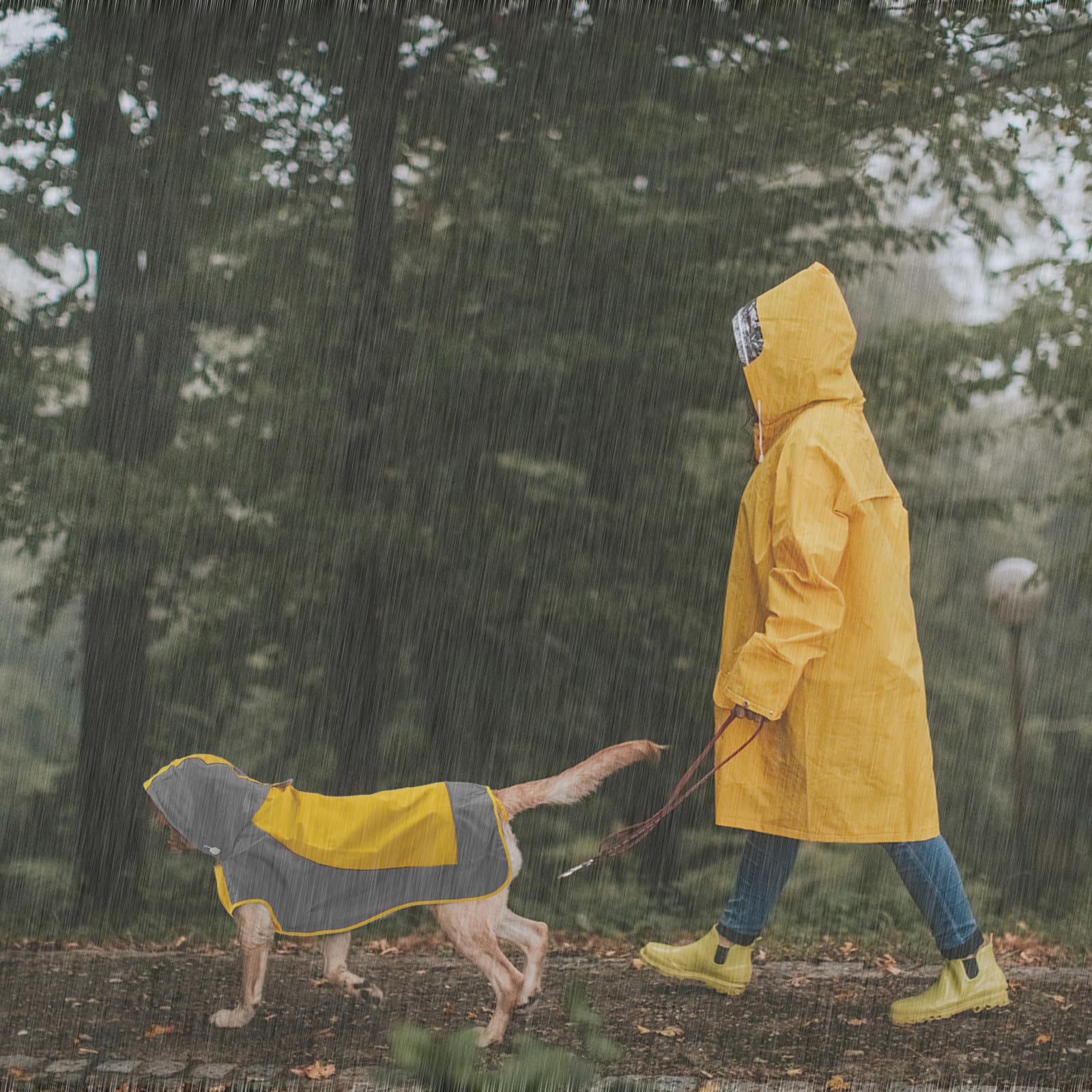 Iecoii Dog Raincoat,Waterproof Rain Jacket For Medium Dogs,Adjustable Pet Rain Coat With Magic Sticker Closure,Reflective Doggy