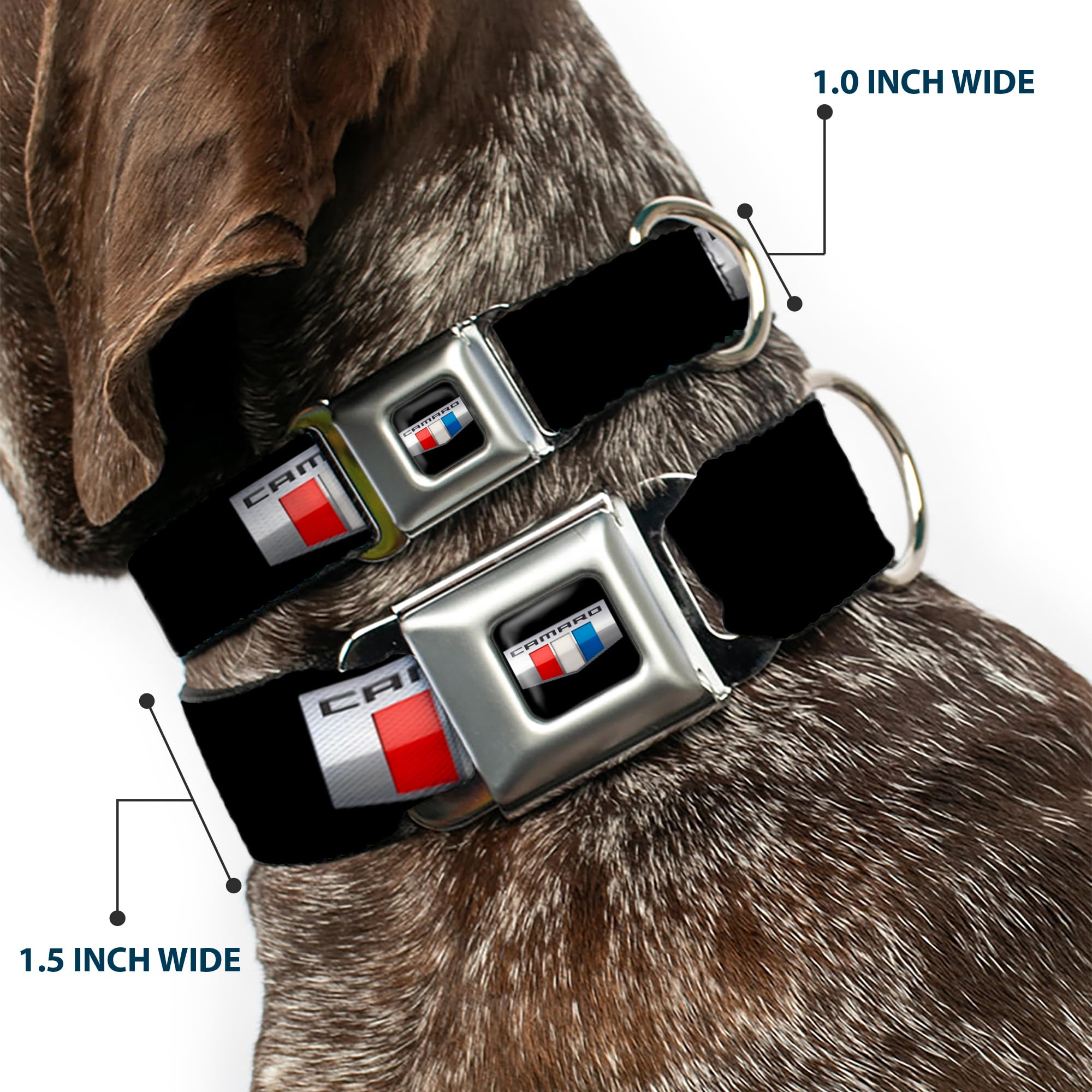 Dog Collar Seatbelt Buckle Camaro Six Badge Black Silver Red White Blue 11 To 17 Inches 1.0 Inch Wide