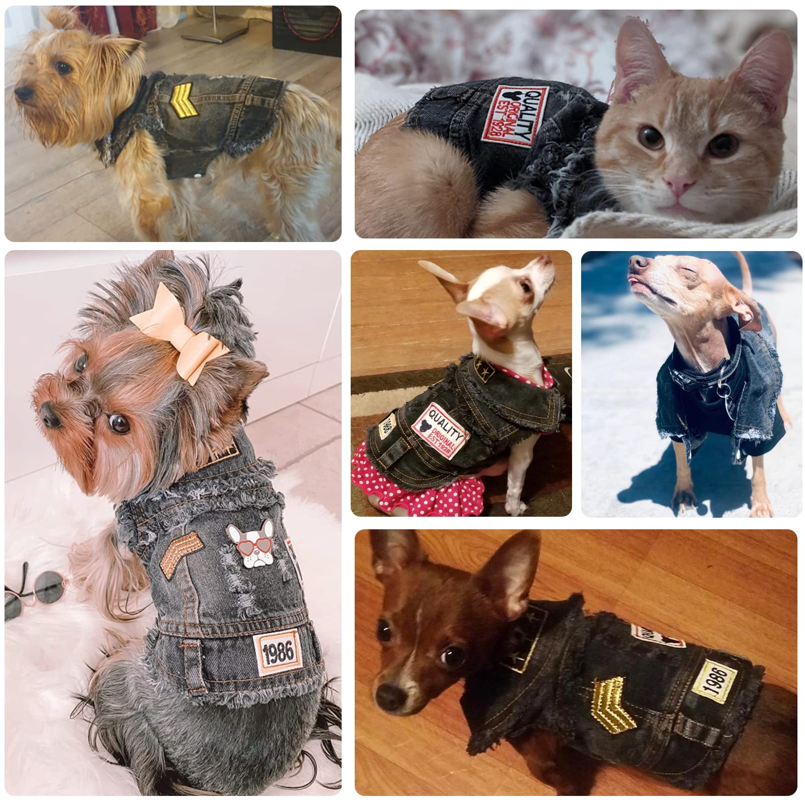 Doggyzstyle Pet Vests Dog Denim Jacket Hoodies Puppy Jacket For Small Medium Dogs (Xs, Black Print)