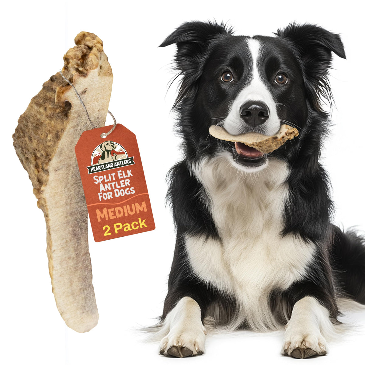 Heartland Elk Antlers For Dogs - Grade A, Naturally Shed Antlers | Dog Bones For Aggressive Chewers & Teething Puppies | All Bre