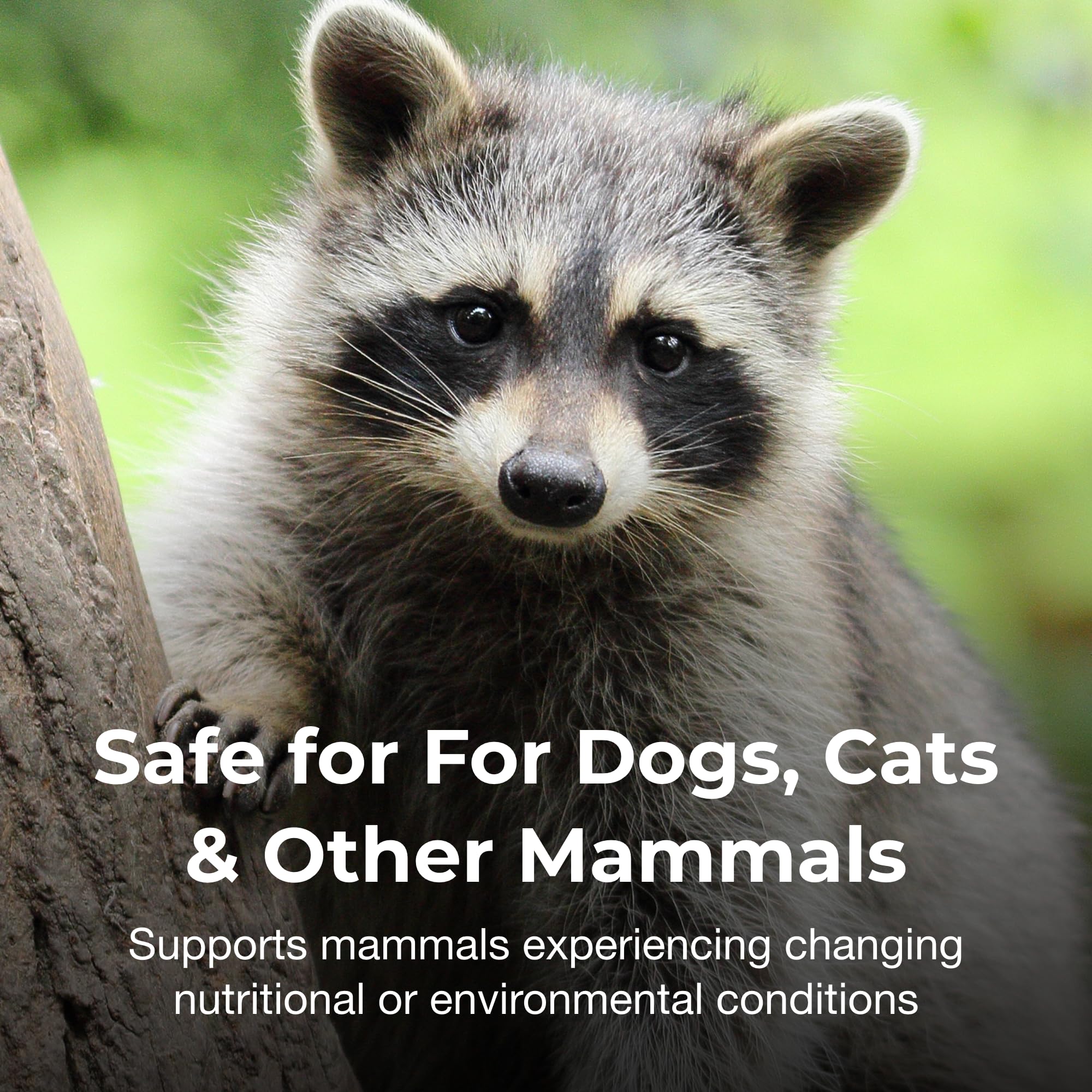 Pet-Ag Bene-Bac Plus - 4.5 oz Powder - FOS & Probiotics for Dogs, Cats, Exotic & Wildlife Mammals