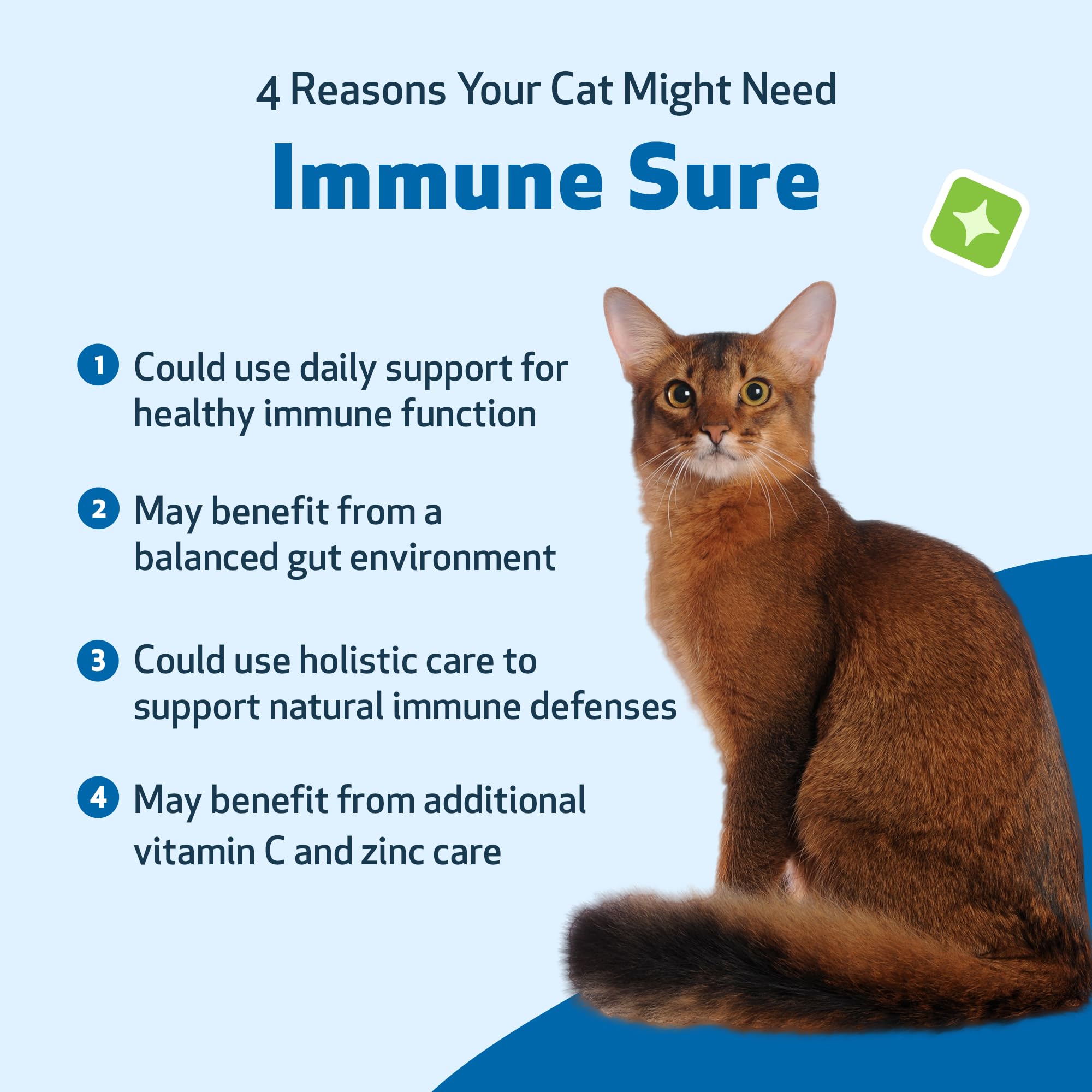 Pet Wellbeing Immune Sure for Cats - Supports Normal Immune Defenses, Gut Flora Balance, Andrographis, Echinacea, Vitamin C, Zin
