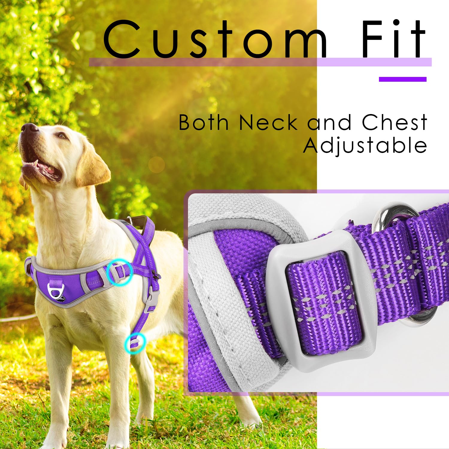 Adventuremore Medium Dog Harness - No Pull, Reflective, Escape Proof With Qr Code Dog Tag, Adjustable Front Clip Handle For Trai
