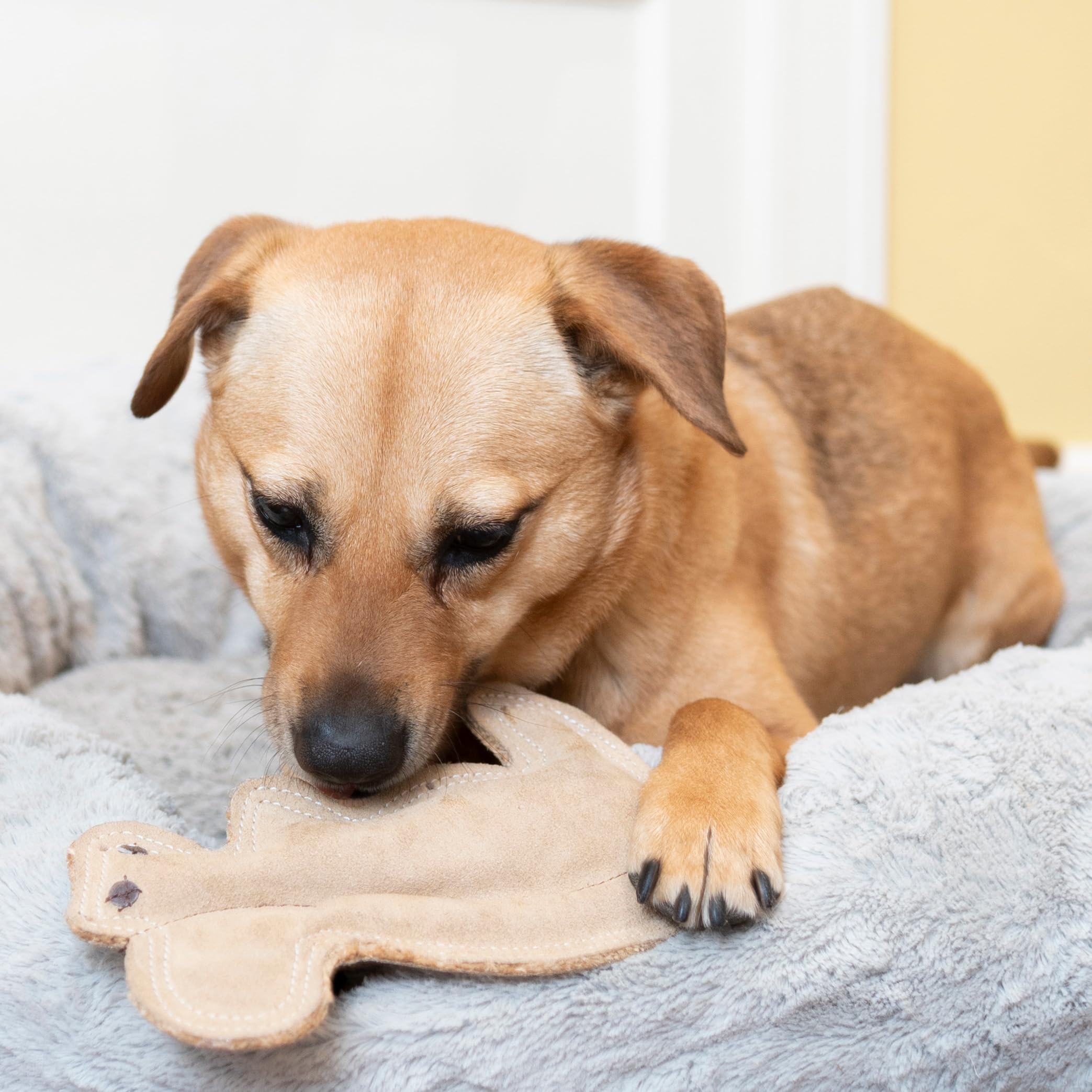 Spot Dura-Fused Leather Squirrel - Dog Toy With Squeaker, Made With Real Leather And Jute Fabric, Interactive Toy For Aggressive Chewers, Durable Squeaky Toy For Dogs And Puppies, 8 Inch