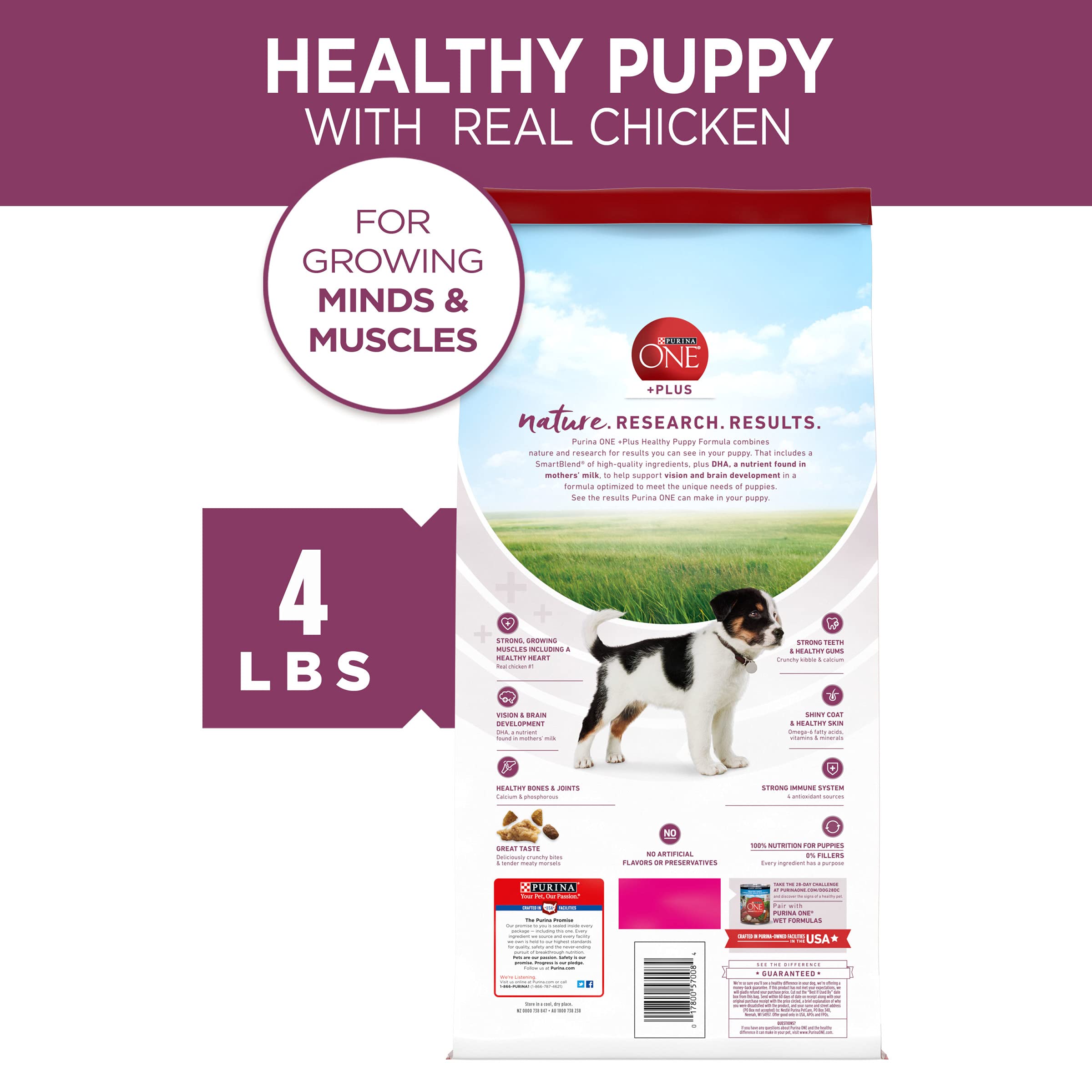 Purina ONE Plus Healthy Puppy Formula High Protein Natural Dry Puppy Food with added vitamins, minerals and nutrients - (Pack of
