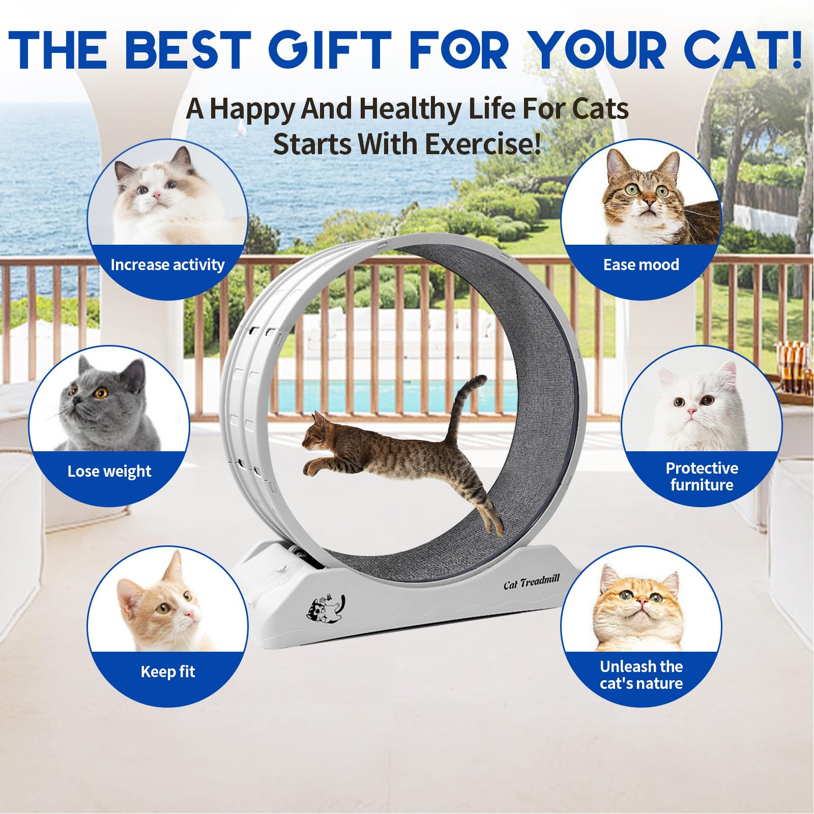 Homegroove 31.5 Inch Cat Wheel For Indoor Cats, Cat Exercise Running Treadmill Wheel With Carpeted Runway For Kittens Weight Los