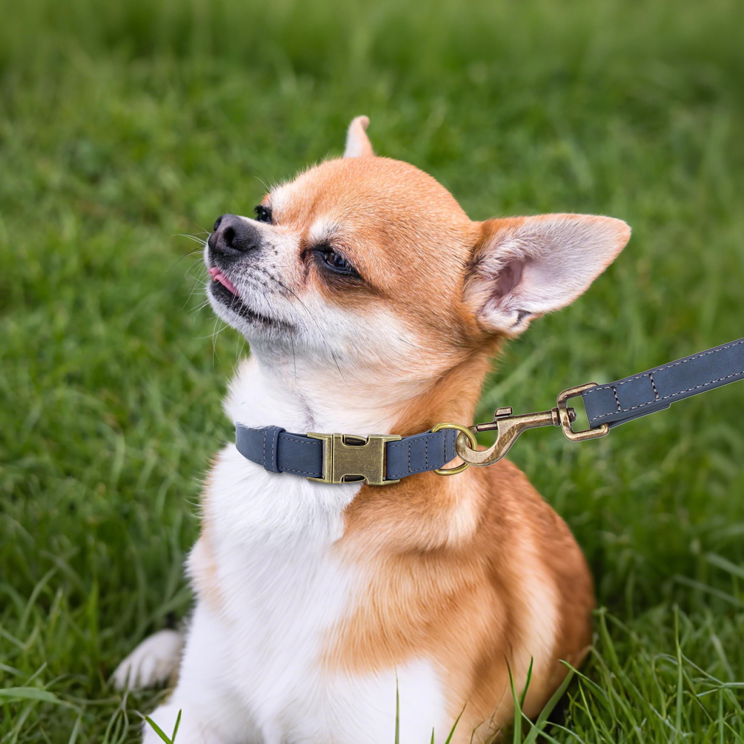 Didog Soft Leather Dog Collar, Durable Quick Released Dog Collars With Metal Buckle, Adjustable Pet Collar Faux Leather For Smal