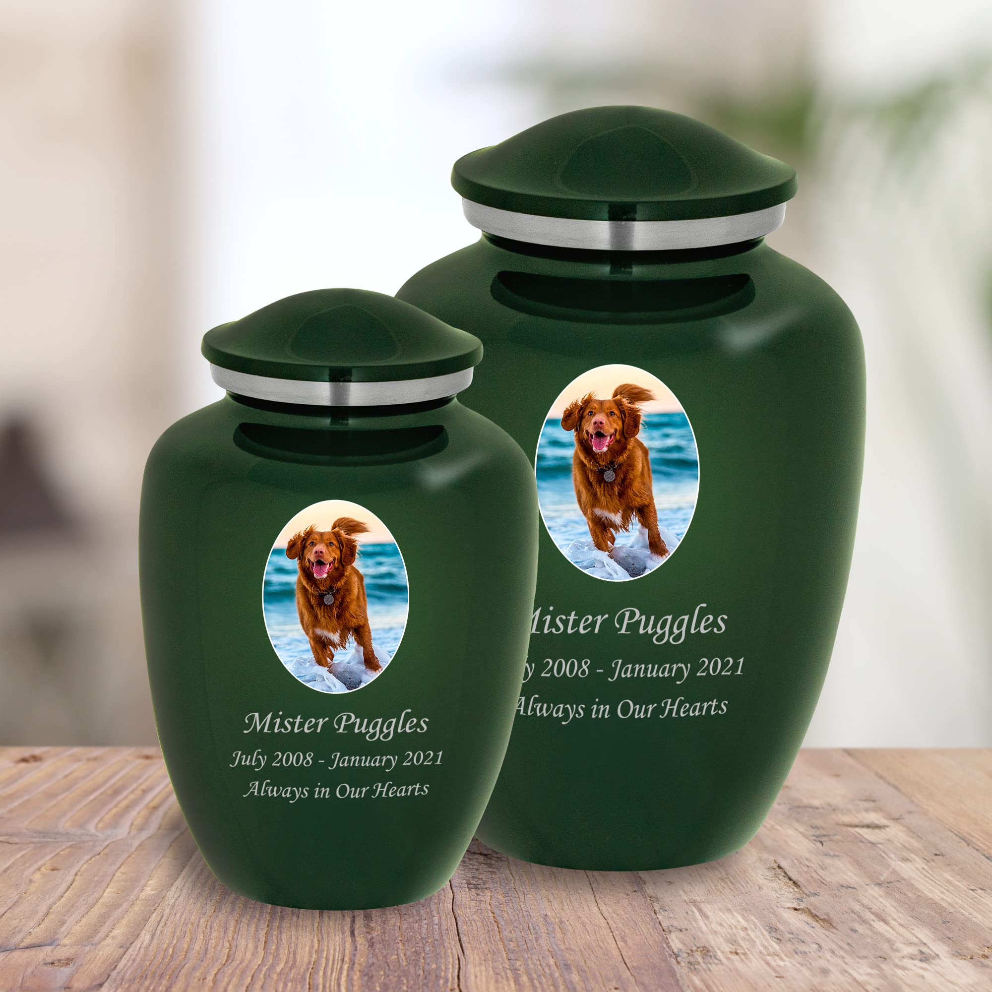 Mainely Urns Homage Large Custom Photo Pet Cremation Urn For Pet Ashes - Vase Style Pet Urn - 200 Cubic Inch Capacity -Personali