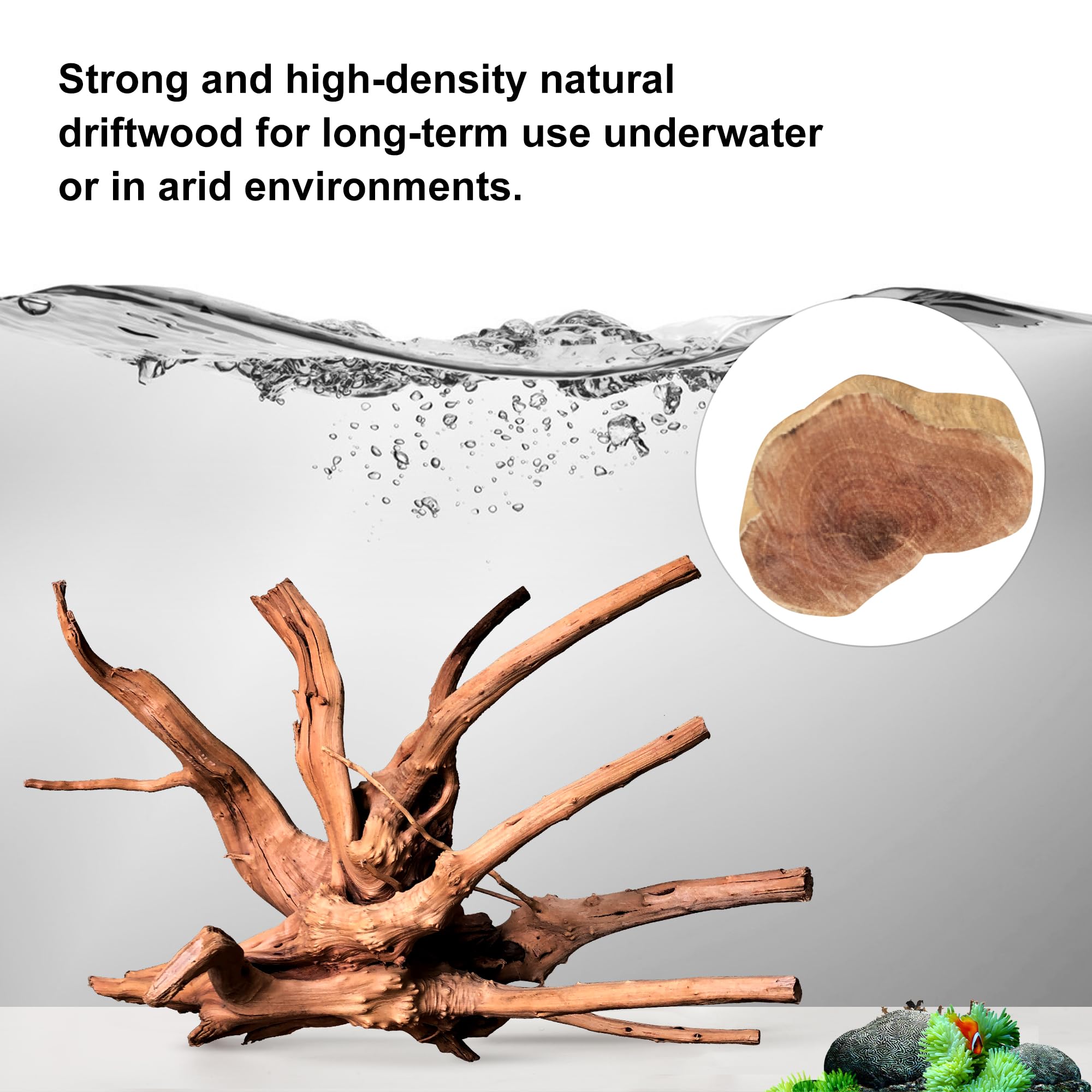 Majoywoo Natural Driftwood For Aquarium Decor Fish Tank Decorations, Assorted Spider Wood Branch 4-8'' 5 Pcs, Reptile Decor