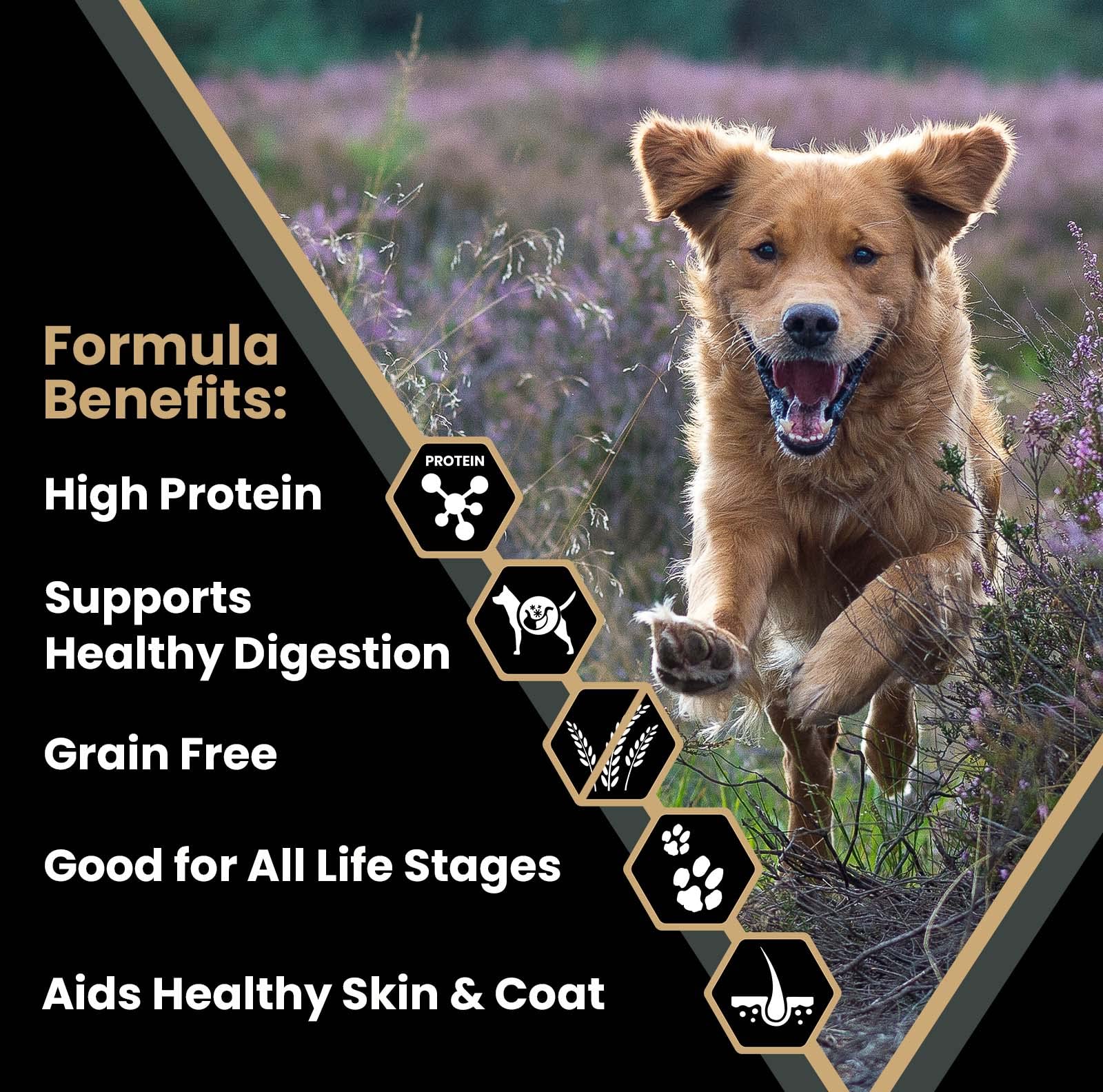 VICTOR Super Premium Dog Food - Grain Free Ultra Pro Dry Dog Food - High Protein, Low Carb Dog Food for Active Dogs - 42% Protei
