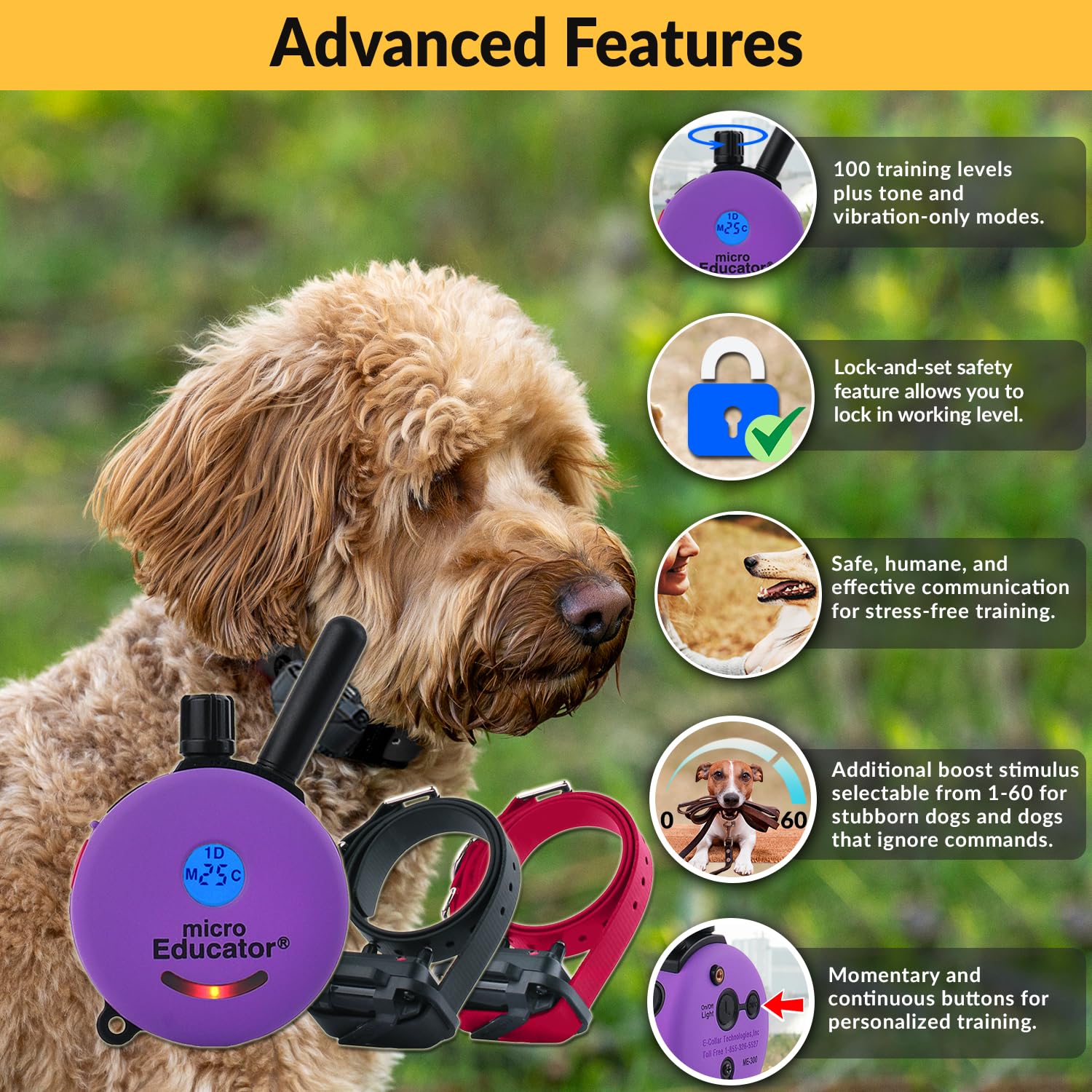 Educator E-Collar Humane Dog Training Collar With Remote, 100 Safe Tapping Stimulation Levels, Night Light, Waterproof, Rechargeable, 1/3 Mile 2 Small Dogs, Purple
