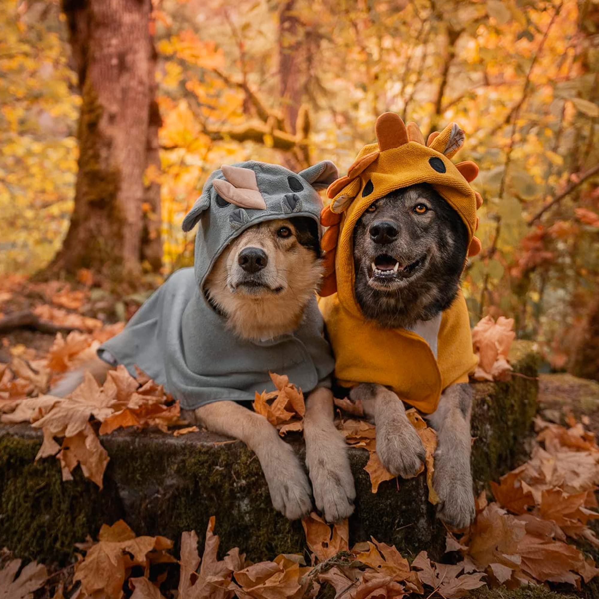 Barkbox - Premium Absorbent Hooded Dog Bathrobe Towel Bundle - Quick Drying Pet Towel For Bath & Beach Trips - Luxurious & Soft Bathrobe Towel For Dogs Of All Breeds - Lion & Rhino - Small