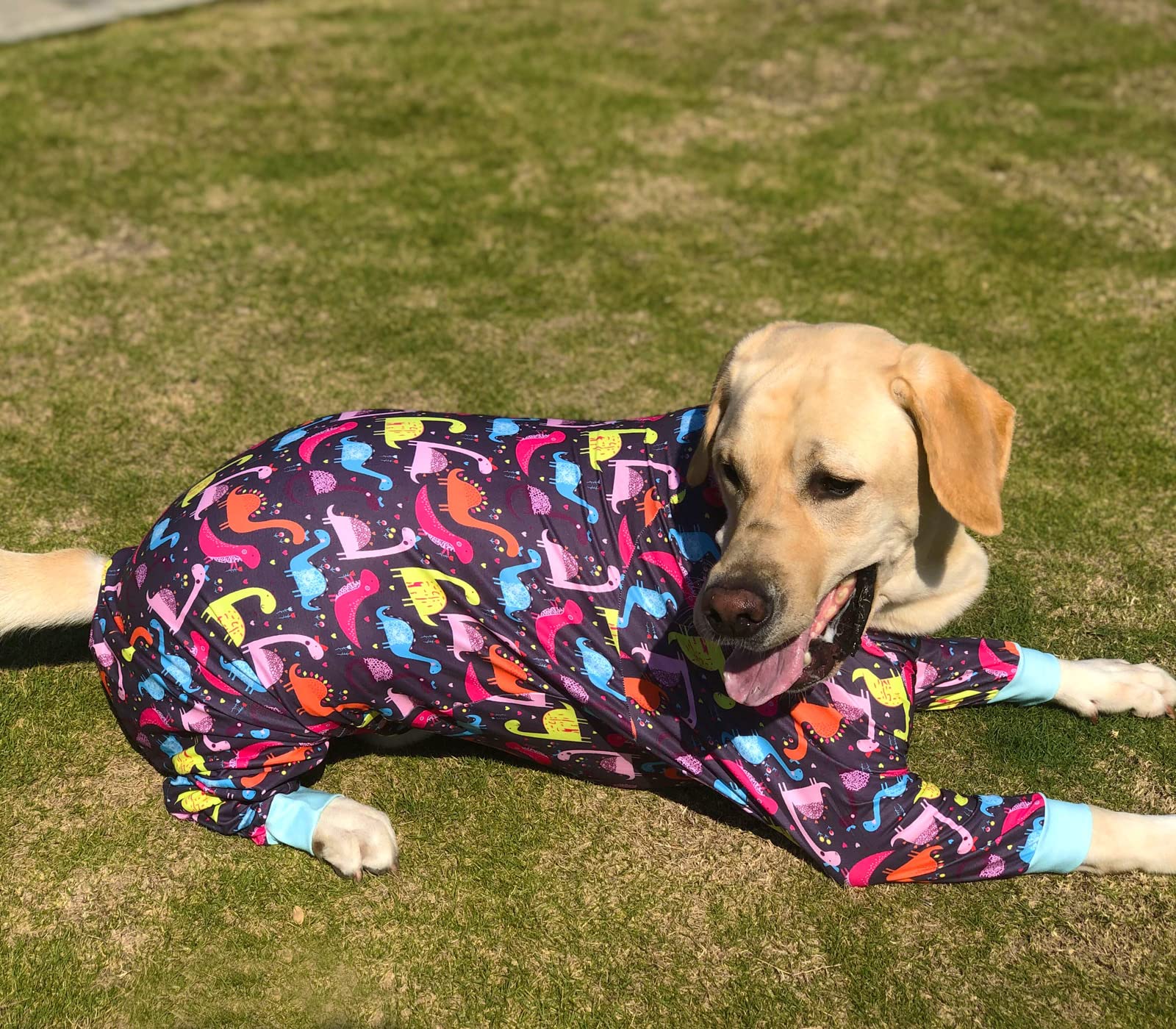 Pripre Dinosaur Printed Long Sleeve Recovery Shirts Soft Pajamas Onesie Jumpsuit Prevent Licking Shedding Suit For Large Dogs (D
