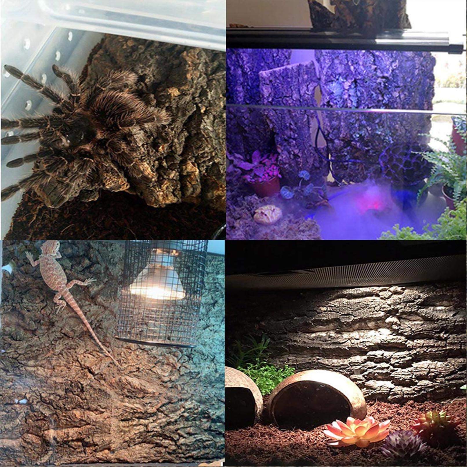 2Pcs Cork Terrarium Background 15.7X11.8In Natural Cork Large Bark Backdrop Reptile Climbing Mat Habitat Decor For Spider Lizard Chamelon Turtle Beared Dragon