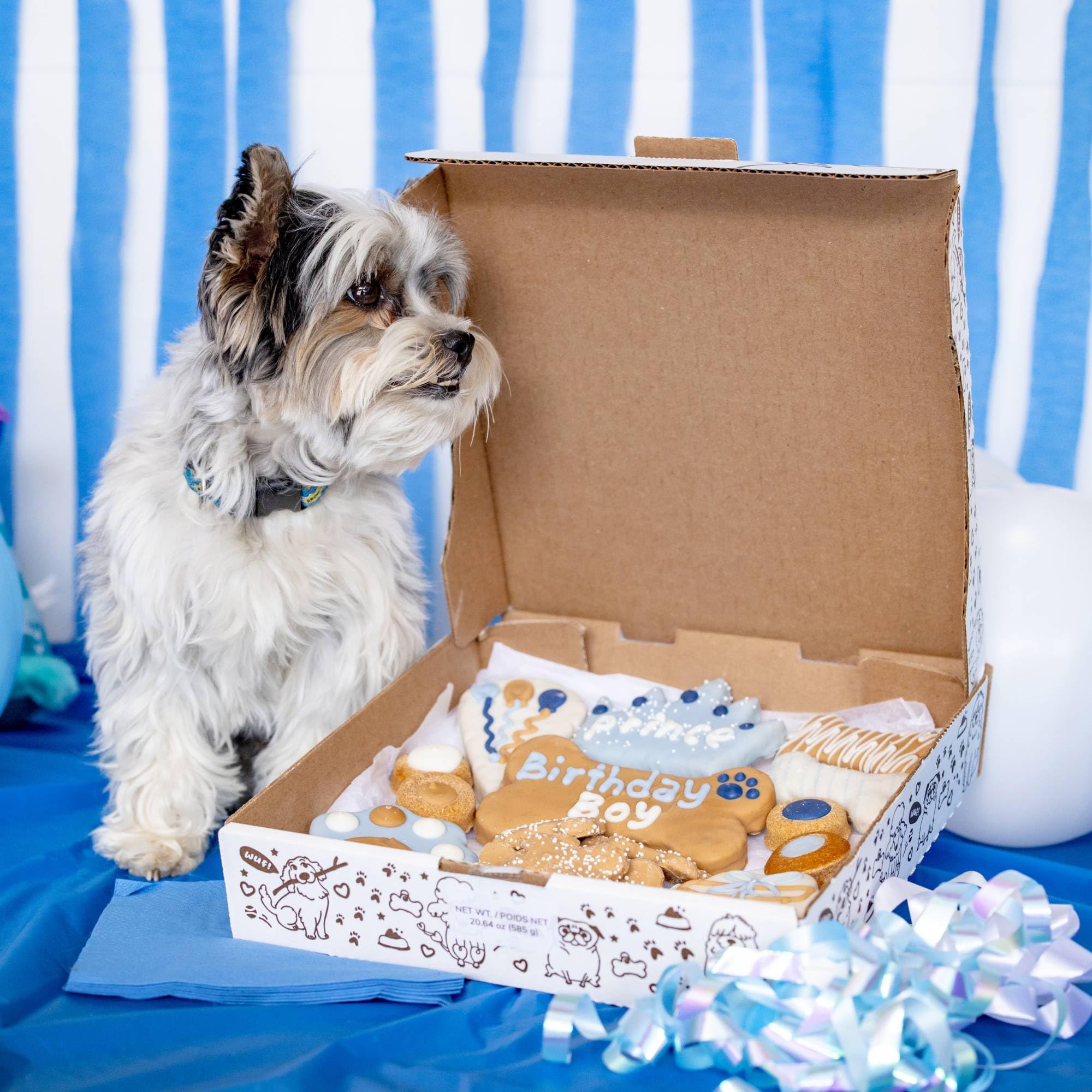 Wufers Dog Birthday Cookie Box - Dog Cookies, Human Grade Ingredients, Cute Hand Decorated and Gentle for Tummies of All Breed S