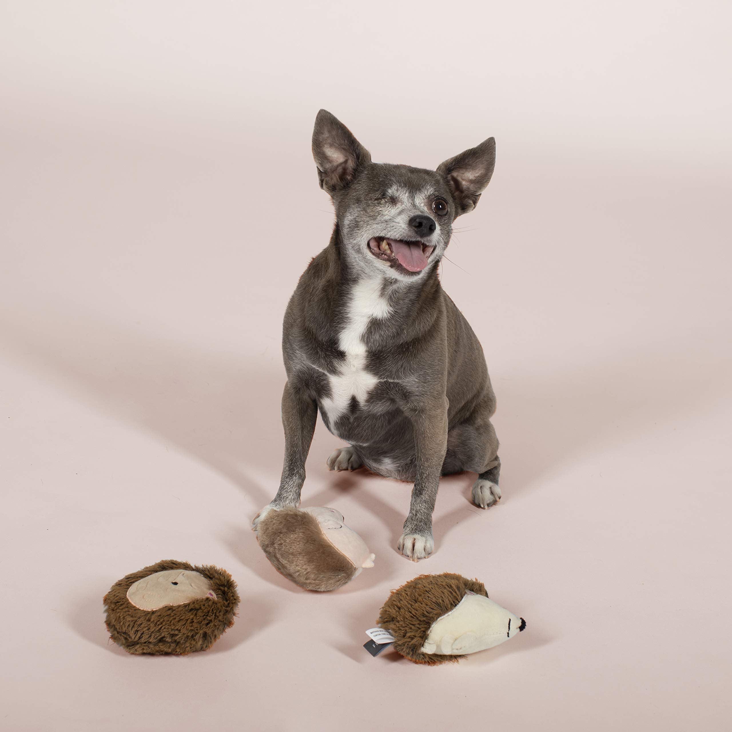Fringe Studio Pet Toy, Small Dog Toy Set, Hedgehogs, 3 Pieces (289408)