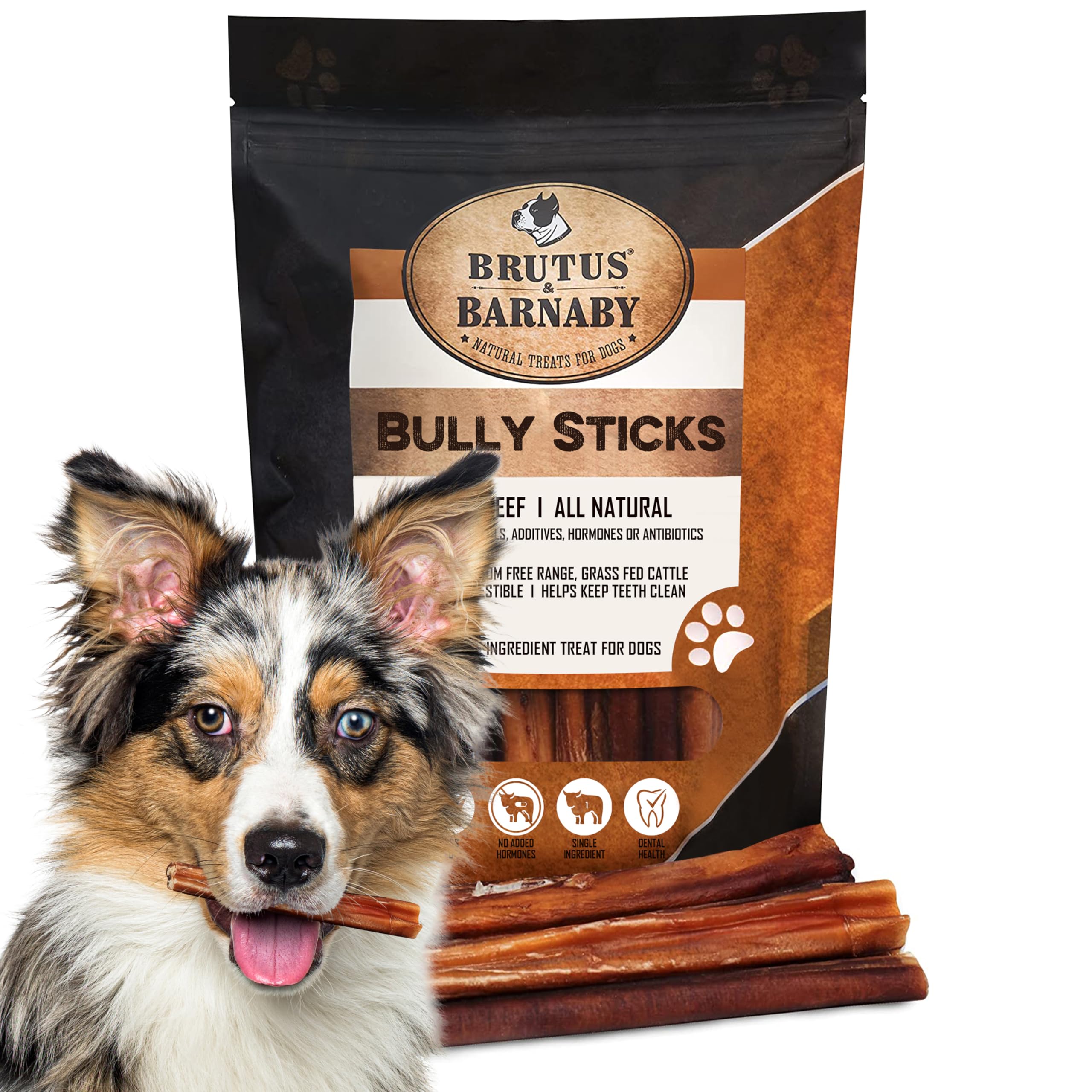 BRUTUS & BARNABY Thick Bully Sticks for Dogs - Odor Free Chews for Large, Medium & Small Breeds - Grain-Free, Rawhide-Free, Dige