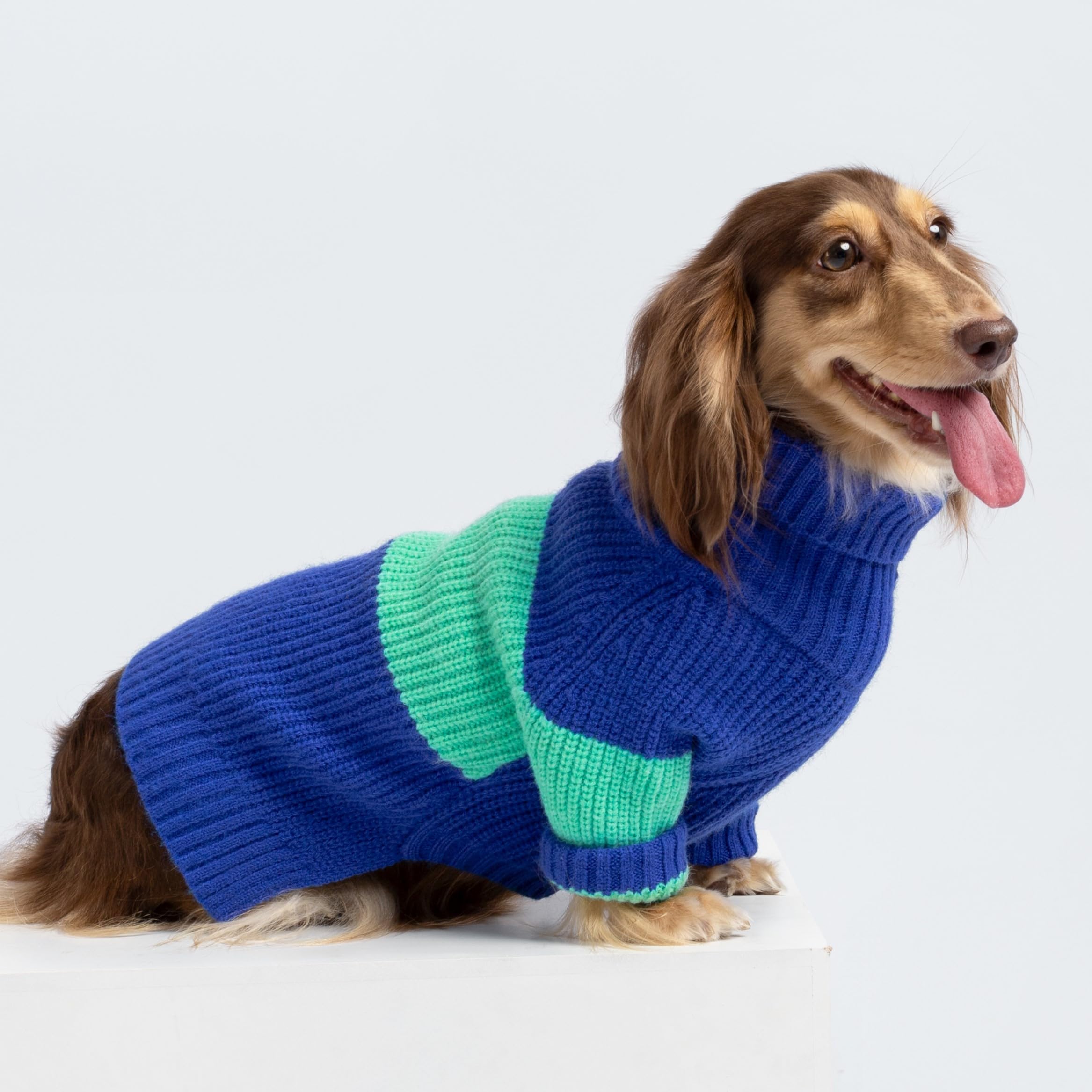 Fitwarm Color Block Dog Sweater, Thermal Dog Winter Clothes For Small Dogs Boy Girl, Soft Turtleneck Sweater For Dog, Pet Outfit