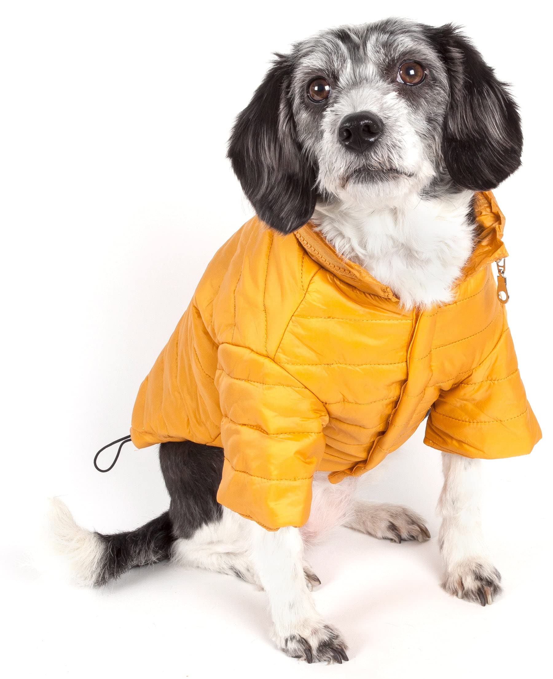 Pet Life Sporty Avalanche Lightweight Folding Winter Dog Coat - Adjustable Dog Jacket with a Concealed Zippered Collar and pop-O