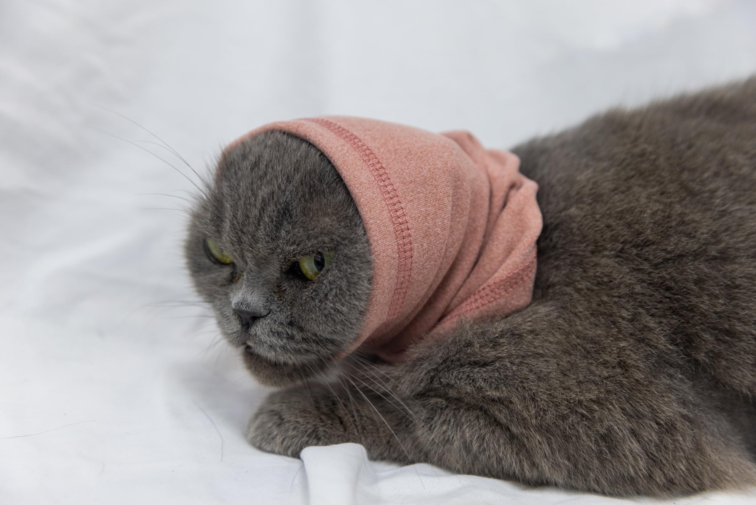 DDFS Cat Anxiety Quiet Ears Snood Head Wrap - Calming Noise Cancelling Cover for Cats - Pink S