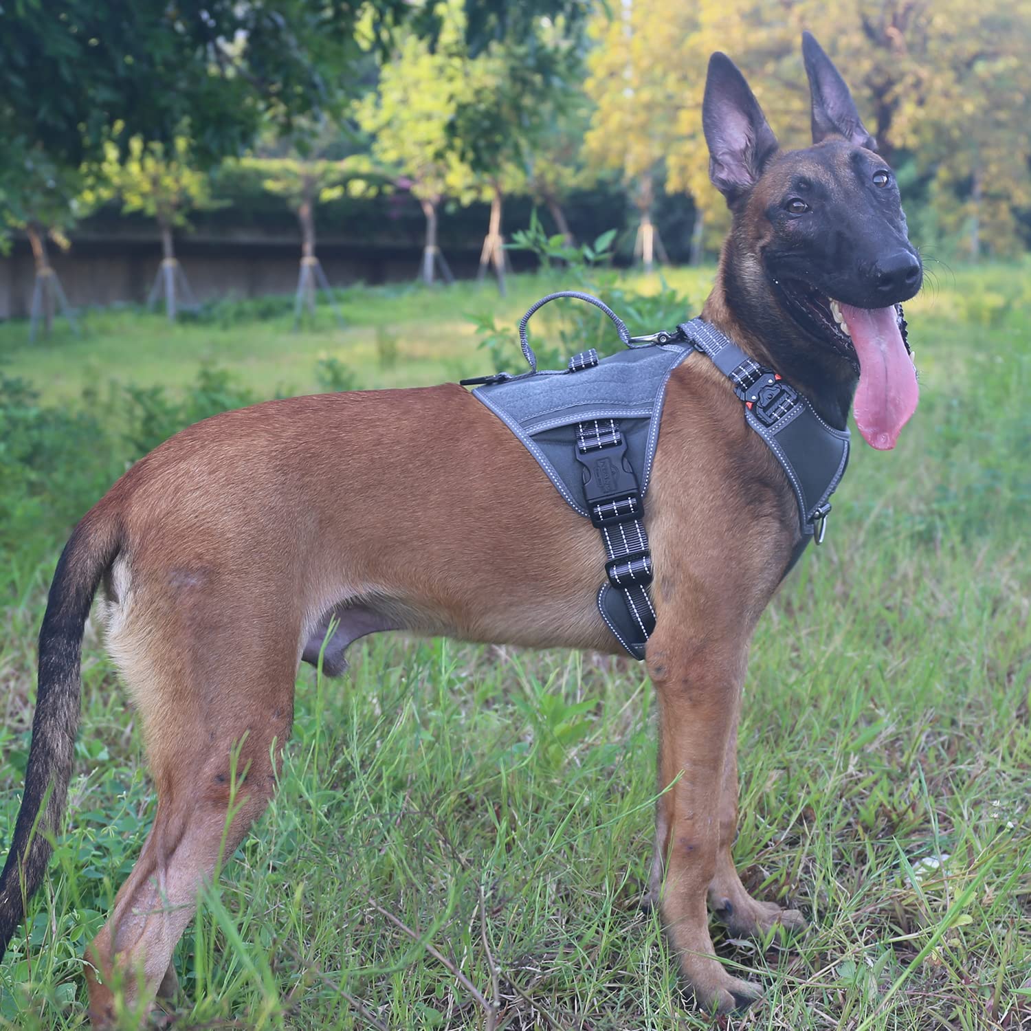 Icefang Gn8 Quick-Moving Tactical Dog Harness With Handle,Reflective In Training Walking K9 Vest,No-Pull Front Lead,5-Points Adjustable,Hook And Loop Panels (Grey, X-Large (Pack Of 1))