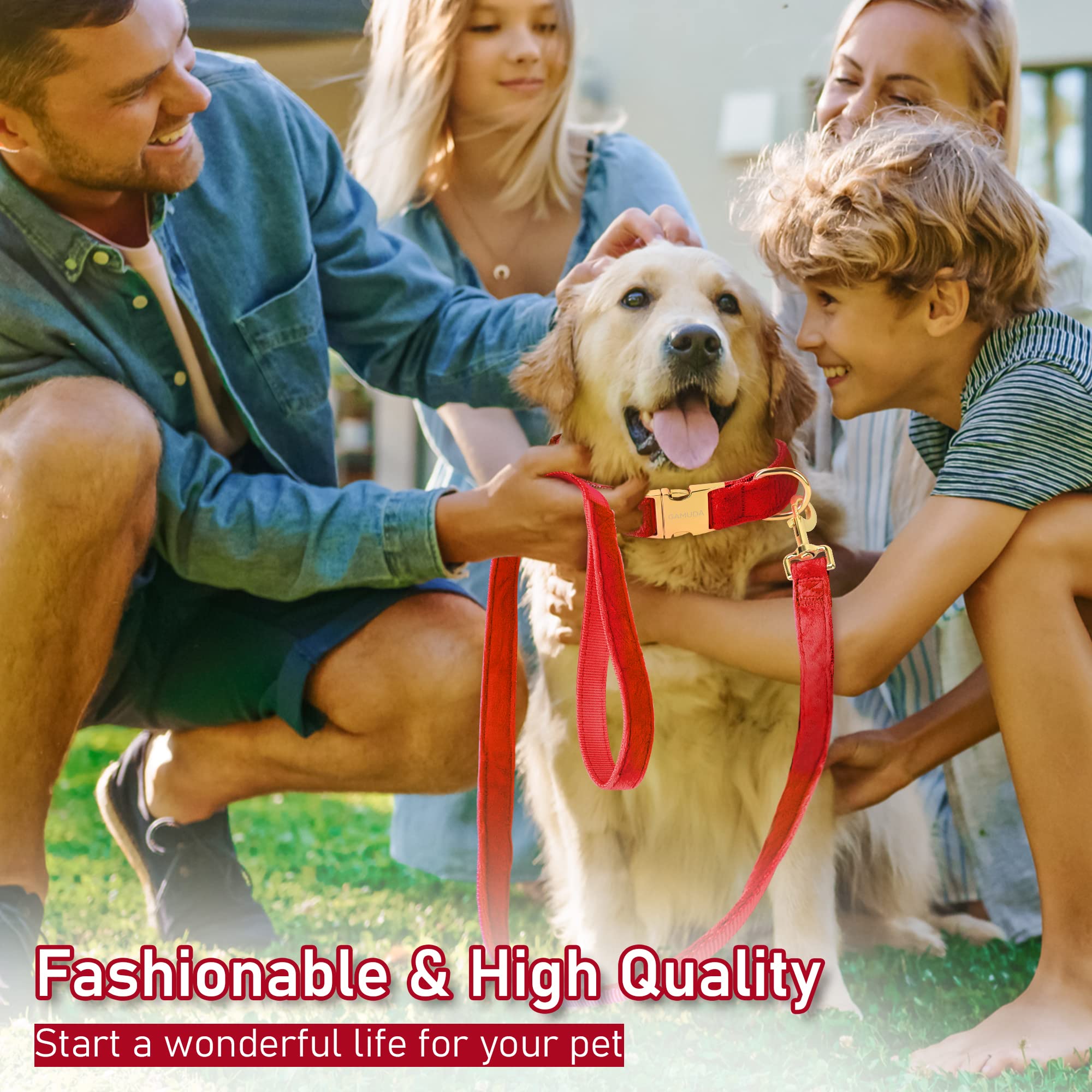 Gamuda Velvet Dog Collar And Leash, Super Soft And Smooth, Heavy Duty Gold Buckle, Comfortable And Easy To Clean, Adjustable Collar For Dog (Xl, Red)