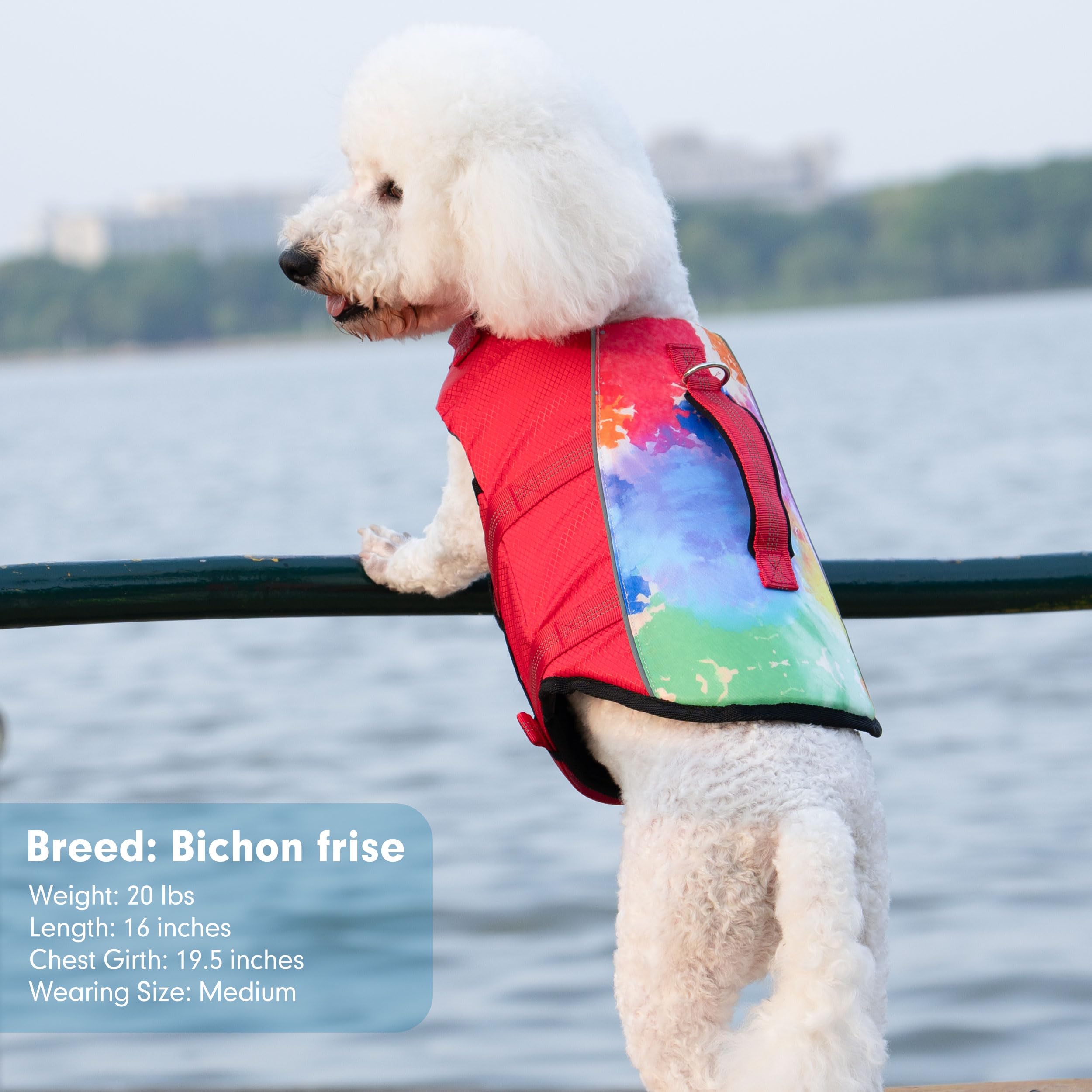 Cyeollo Dog Life Vests For Boating High Buoyancy Small Dog Life Jacket For Swimming, Pet Safety Float Lifesaver Vest With Chin F