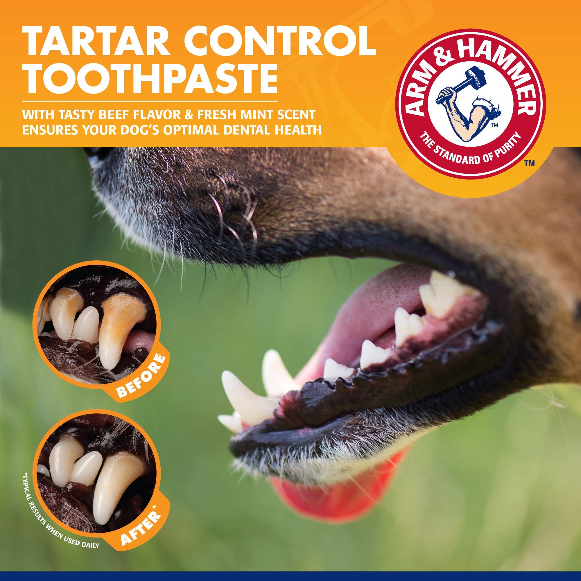 Arm & Hammer for Pets Tartar Control Enzymatic Toothpaste for Dogs Reduces Plaque & Tartar Buildup Safe for Puppies Beef Flavor,