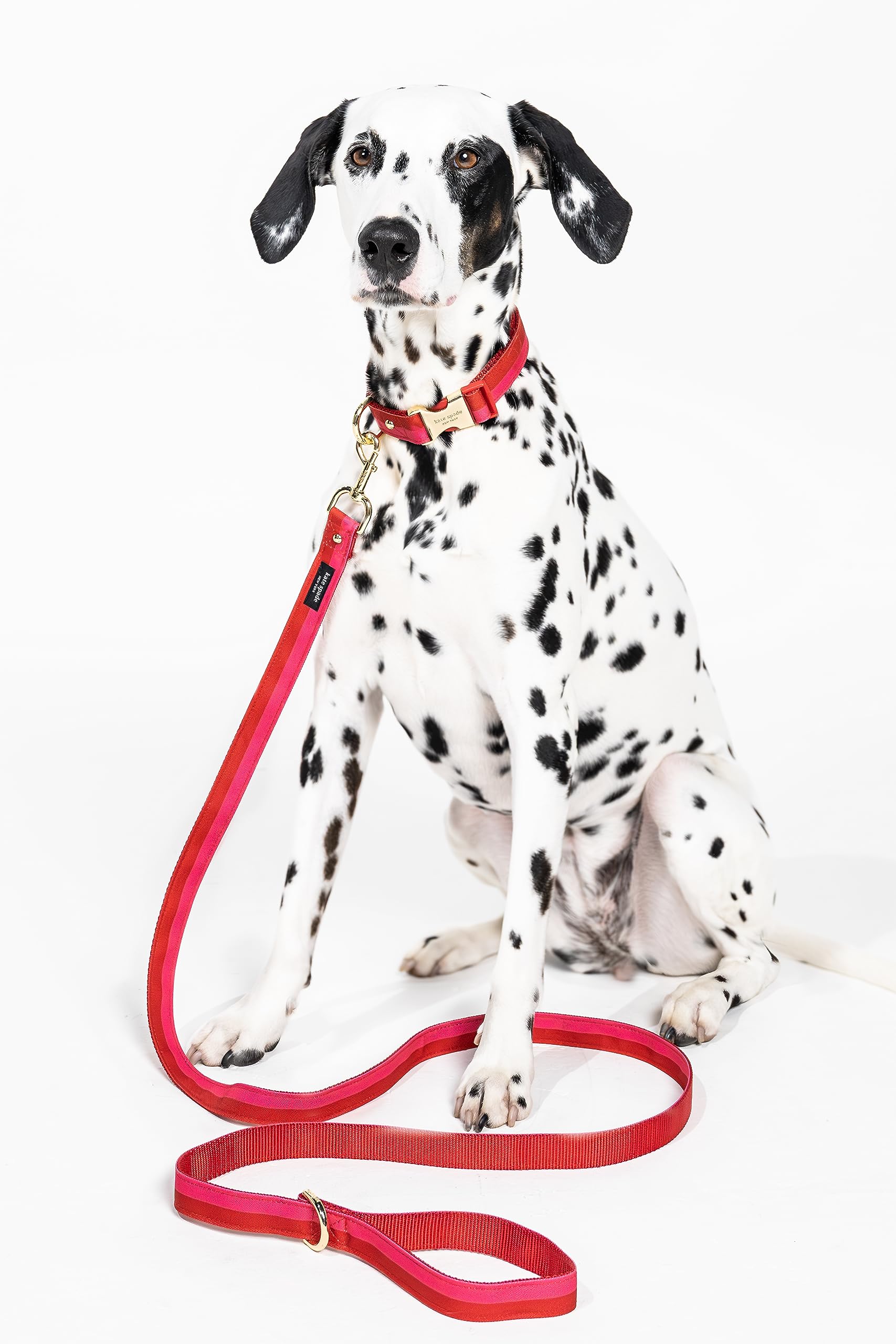 Kate Spade New York 6Ft Dog Leash, Heavy Duty For Female Or Male Dogs, Cute Pet Lead With Gold Metal Hardware, Long For Medium A