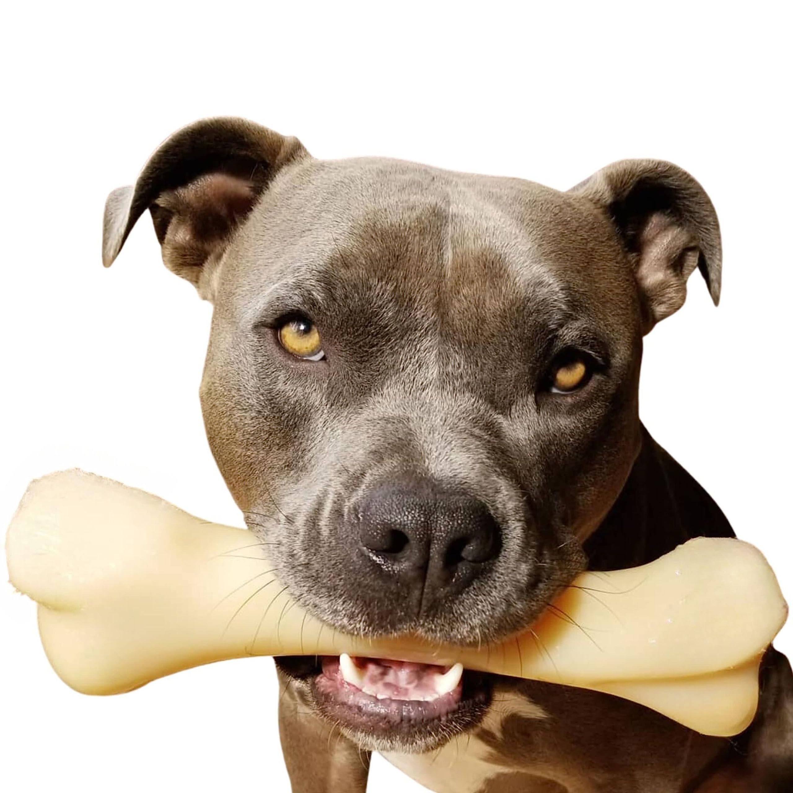 Nylabone Power Chew Monster Bone Big Dog Chew Toy, Dog Toys For Aggressive Chewers, Chicken Flavor, Xx-Large/Monster (1 Count)
