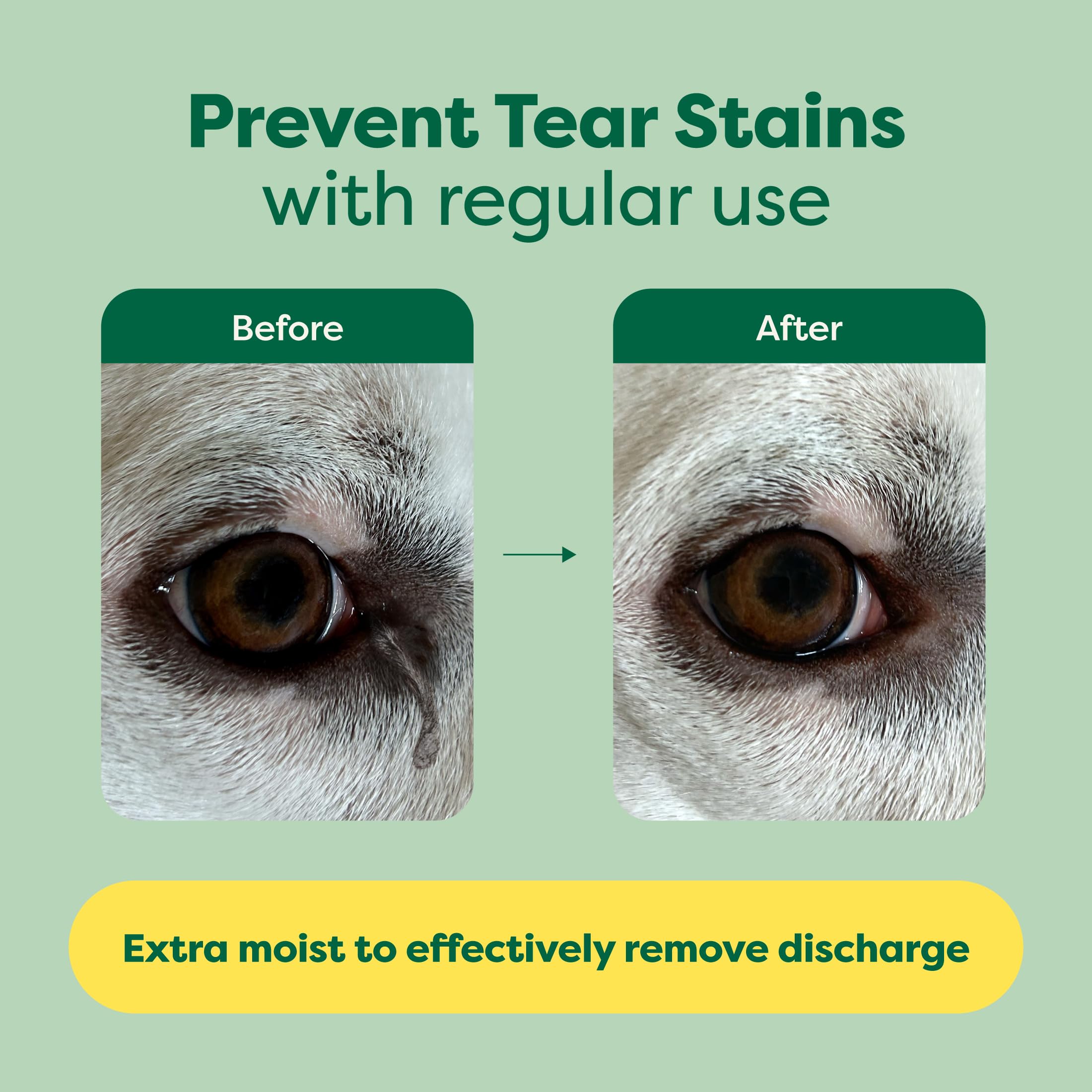 Earth Rated Vet-Developed Pet Eye Wipes, Hypoallergenic Cleaner For Dogs & Cats Eyes To Remove Dirt & Discharge, Fragrance Free,