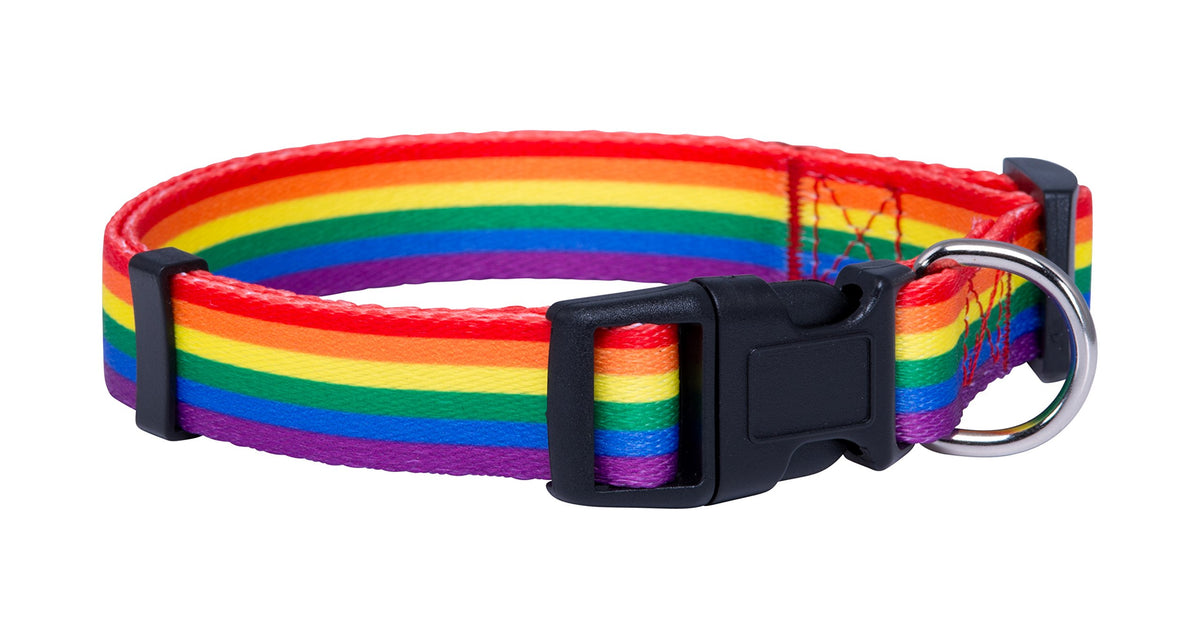 Native Pup Rainbow Flag Dog Collar Gay Pride Stuff For Parade, Lgbtq Flags Equality Pet Apparel Decor Gift And Lgbt Ally Accessories (Large)