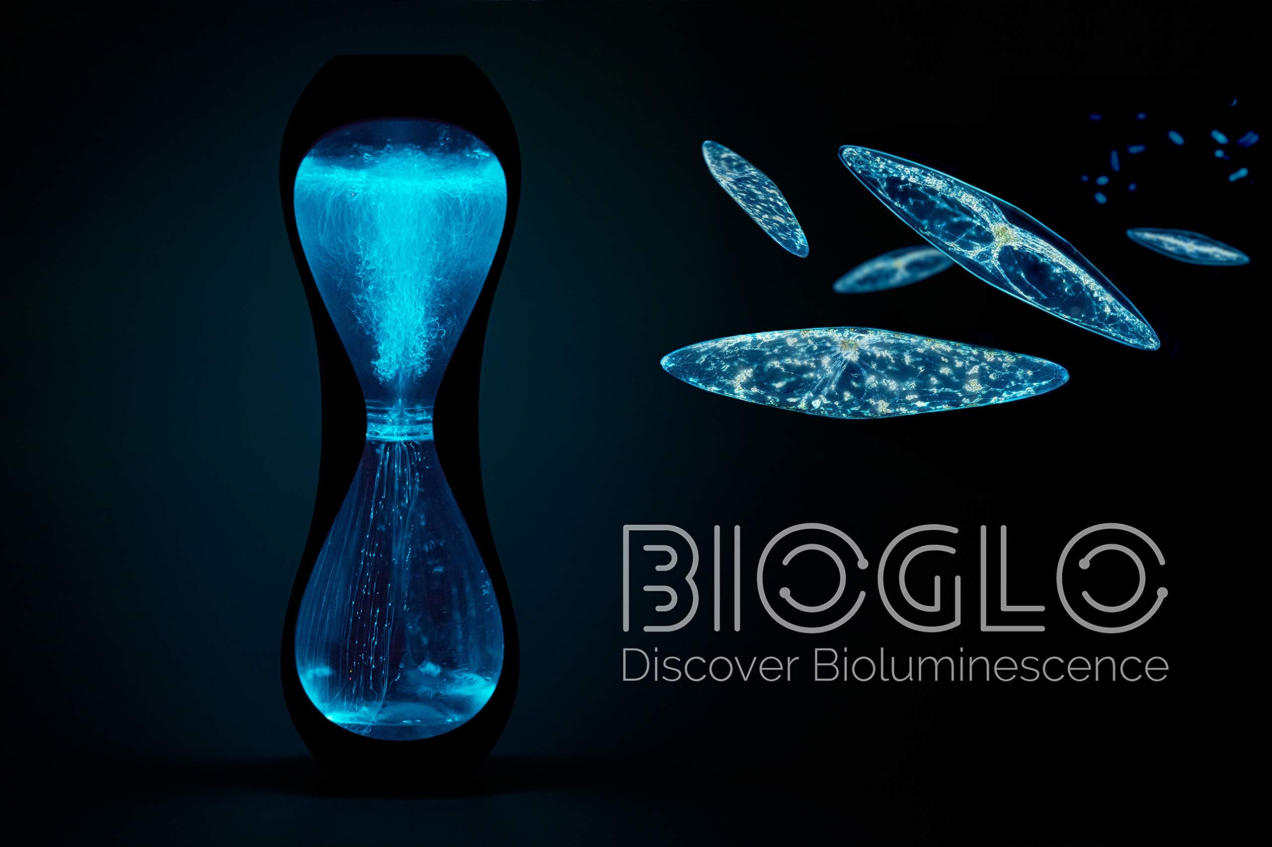 Magical Microbes Bioglo: Bioluminescent Aquarium