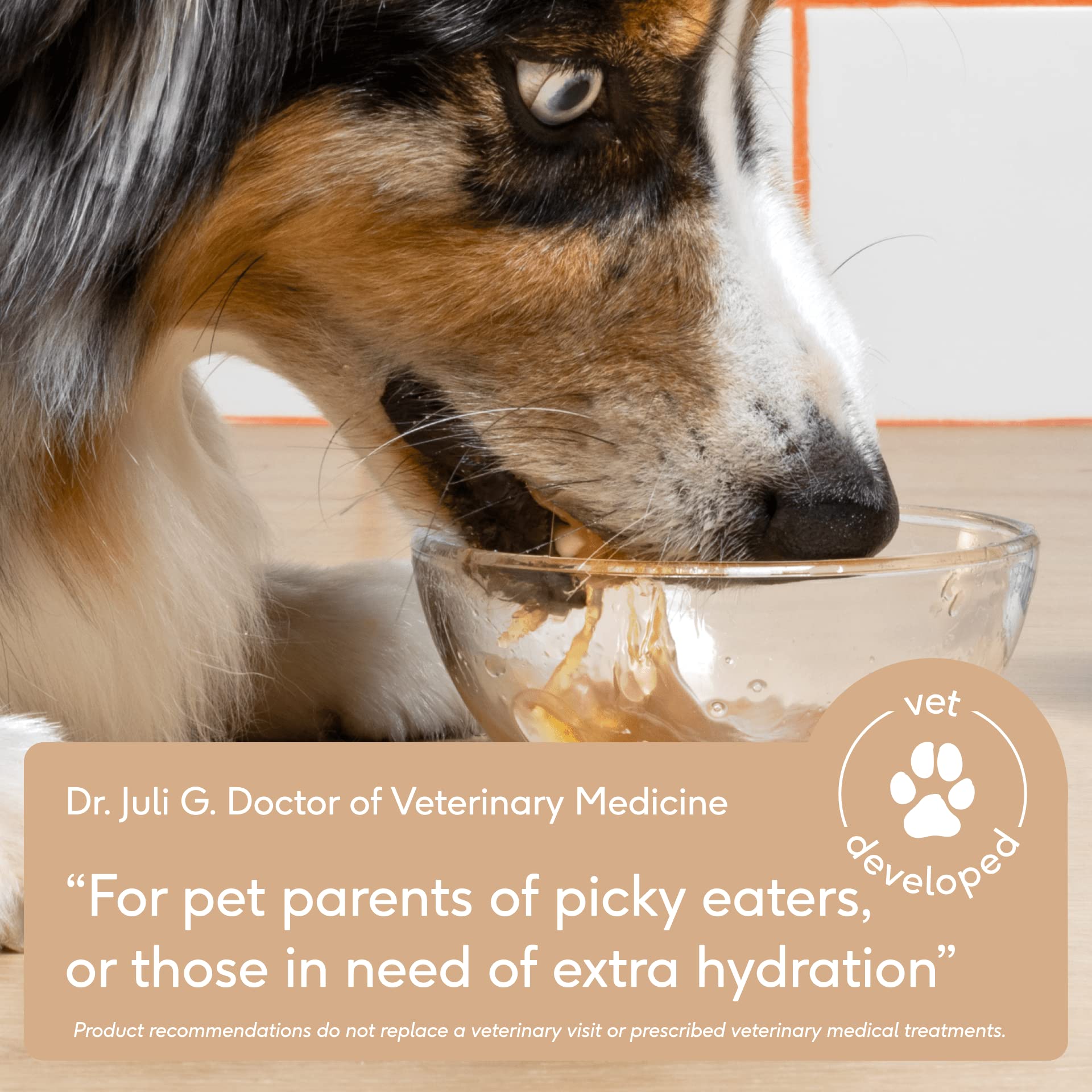 Native Pet Bone Broth for Dogs - Beef Flavor, 9.5oz Dog Food Topper for Picky Eaters, Protein Powder for Dogs and Cats
