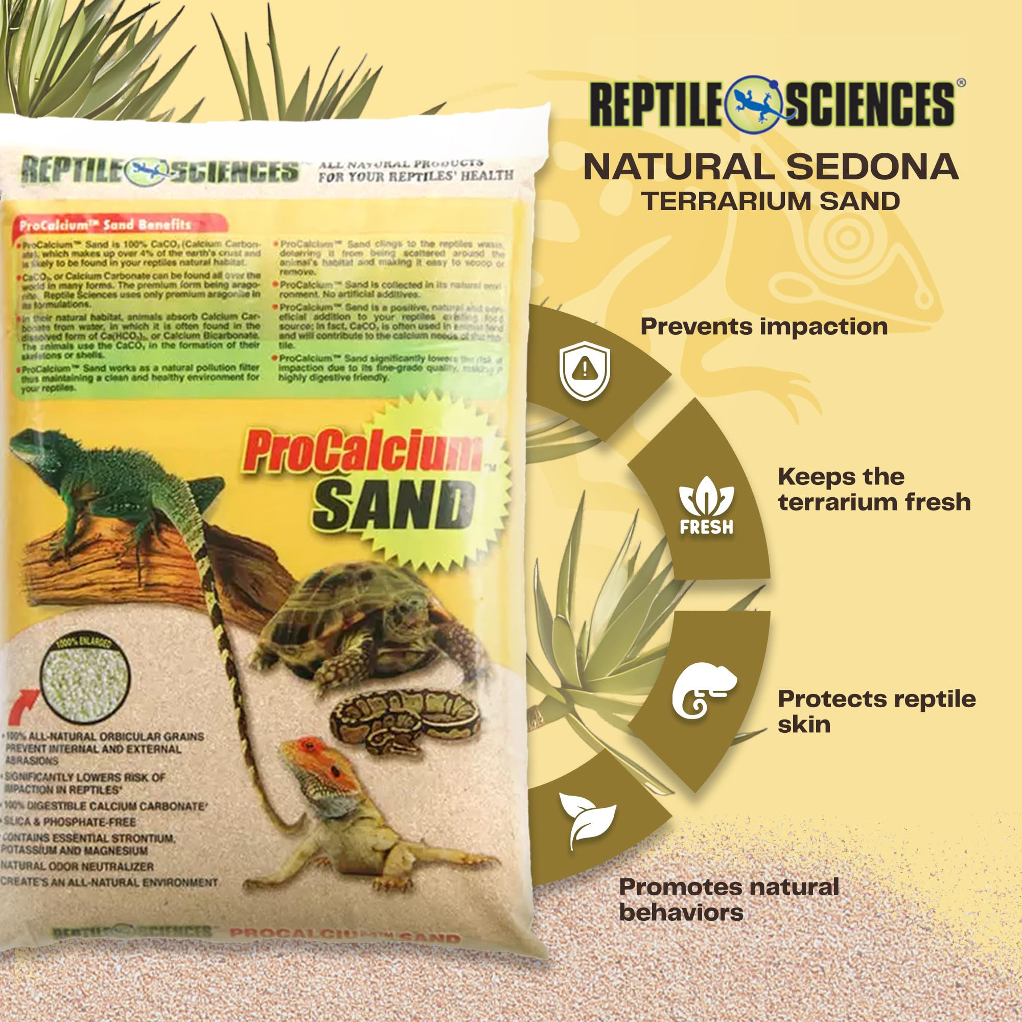 Reptile Sciences Terrarium Sand, 10-Pound, Natural Sedona