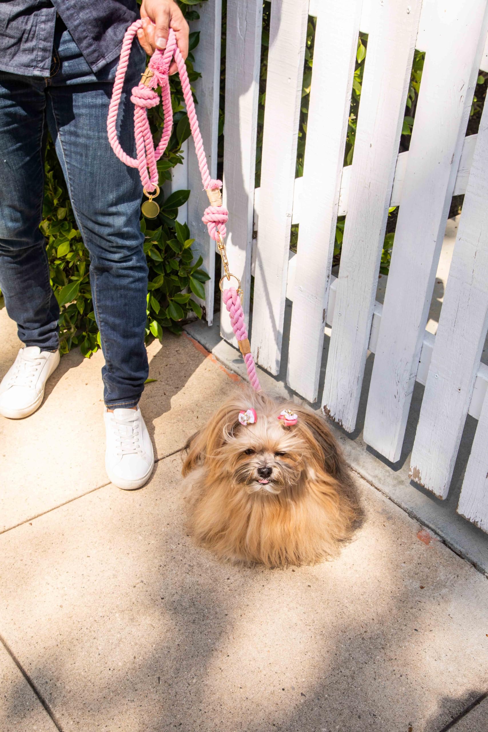 Glow Pups Dog Collar, Ombre Braided Rope Slip Collar For Dogs, Handmade, Durable, Adjustable Fit, Stylish Rope Design, Gold-Colo