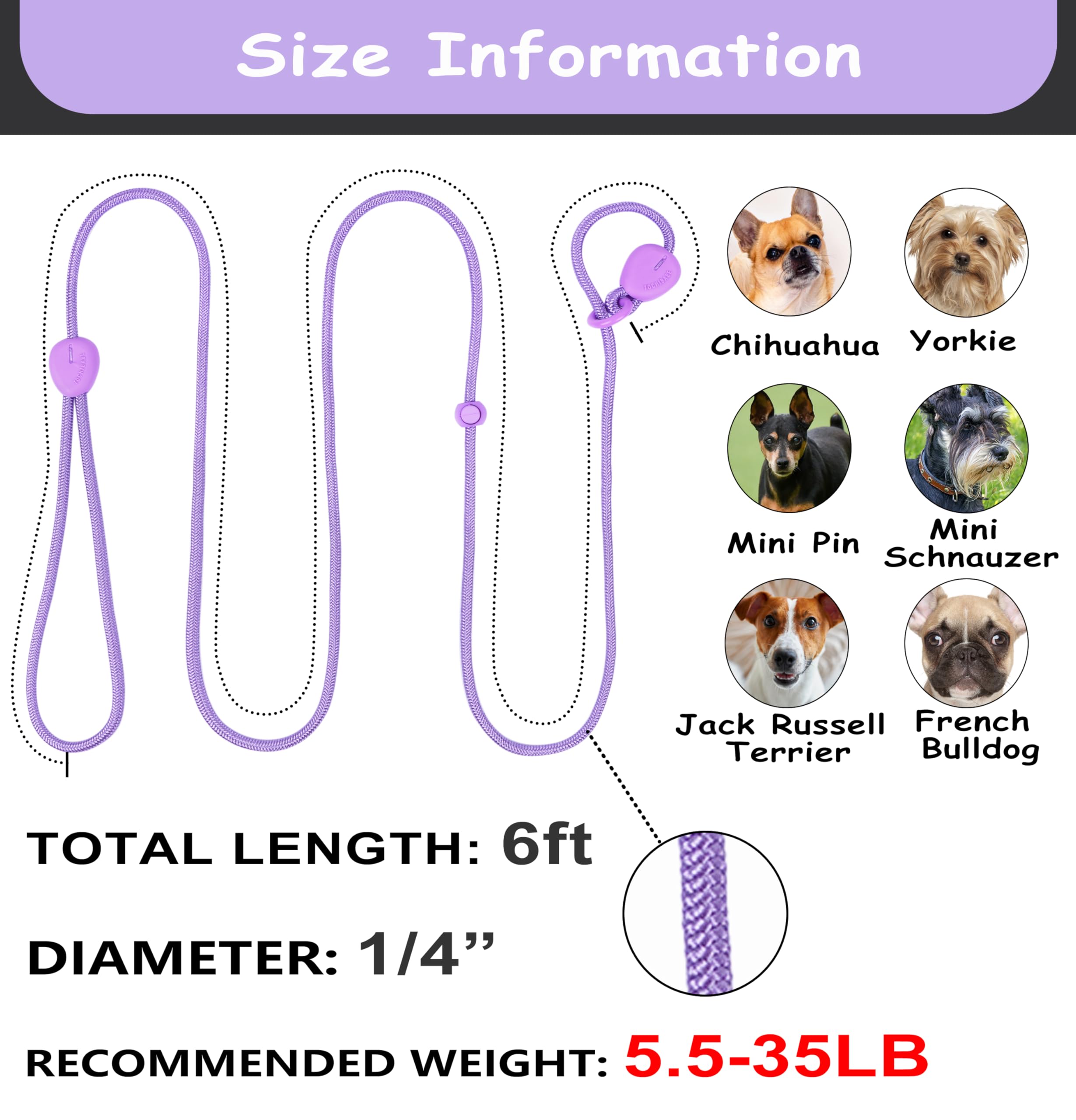 Slip Lead 6FT Slip Leash for Dogs No Pull Dog Training Leash Lightweight Dog Slip Lead 1/4 Slip Lead Dog Leash Dog Leash for Sma