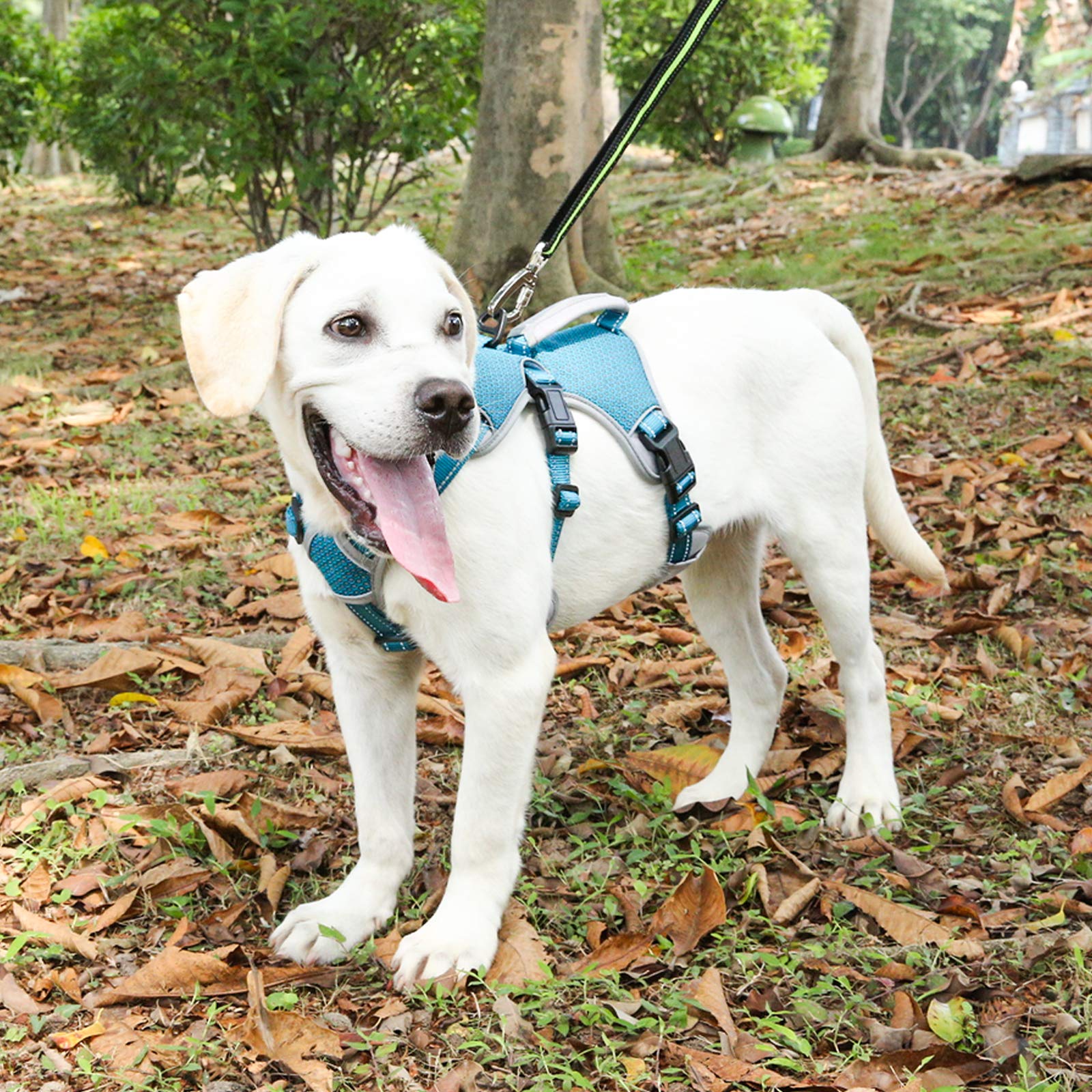 Belpro Multi-Use Support Dog Harness, Escape Proof No Pull Reflective Adjustable Vest With Durable Handle, Dog Walking Harness For Big/Active Dogs (Blue, S)