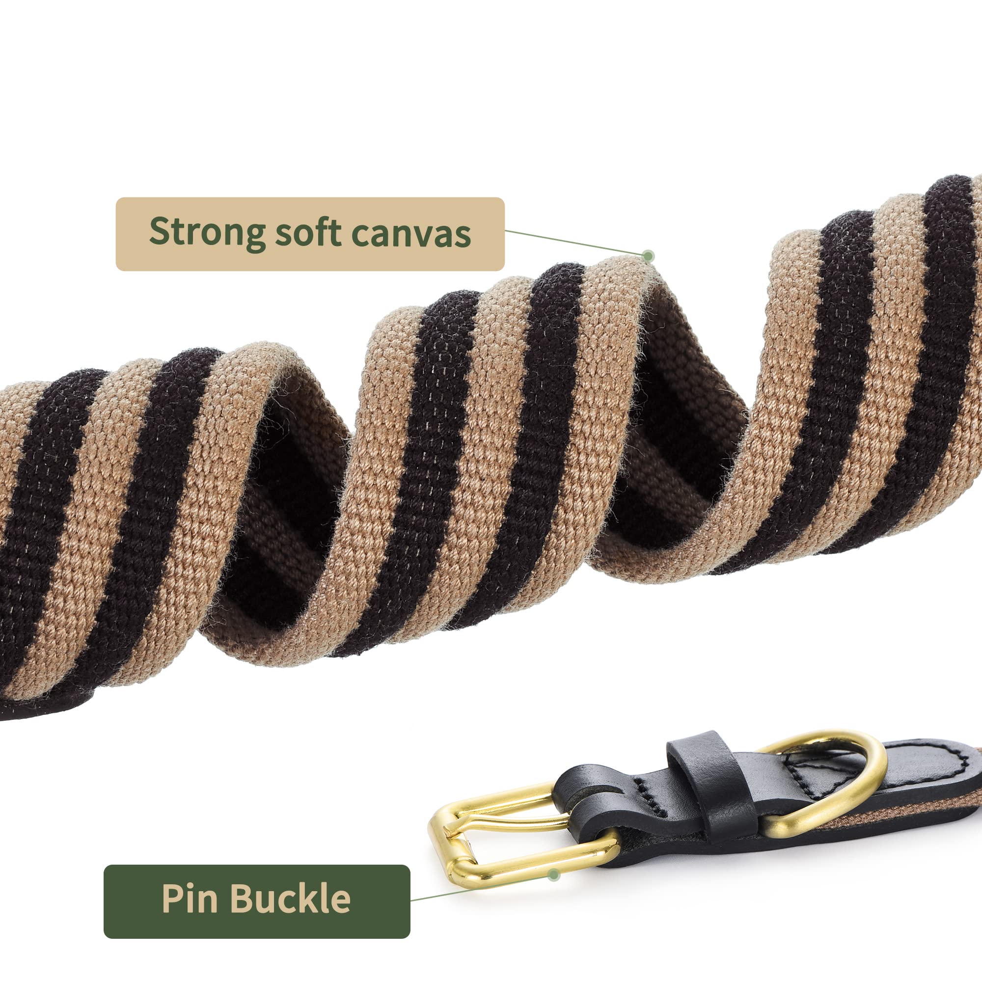 Mile High Life | Genuine Leather Dog Collar | Heavy Duty Canvas Dog Collars With Adjustable Rust-Proof Metal Pin Buckle | Boy Do