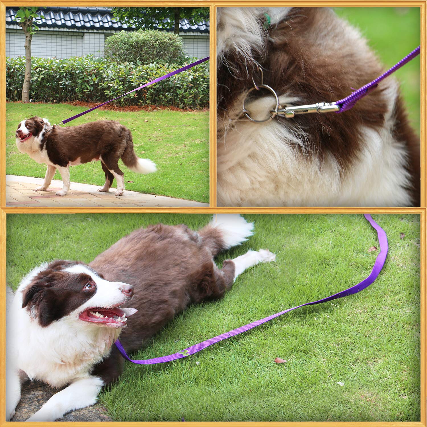 Amagood Dog/Puppy Obedience Recall Training Long Dog Leash- 20 Feet 30 Feet 50 Feet 15 Feet Long Leash For Dogs Training,Recall,