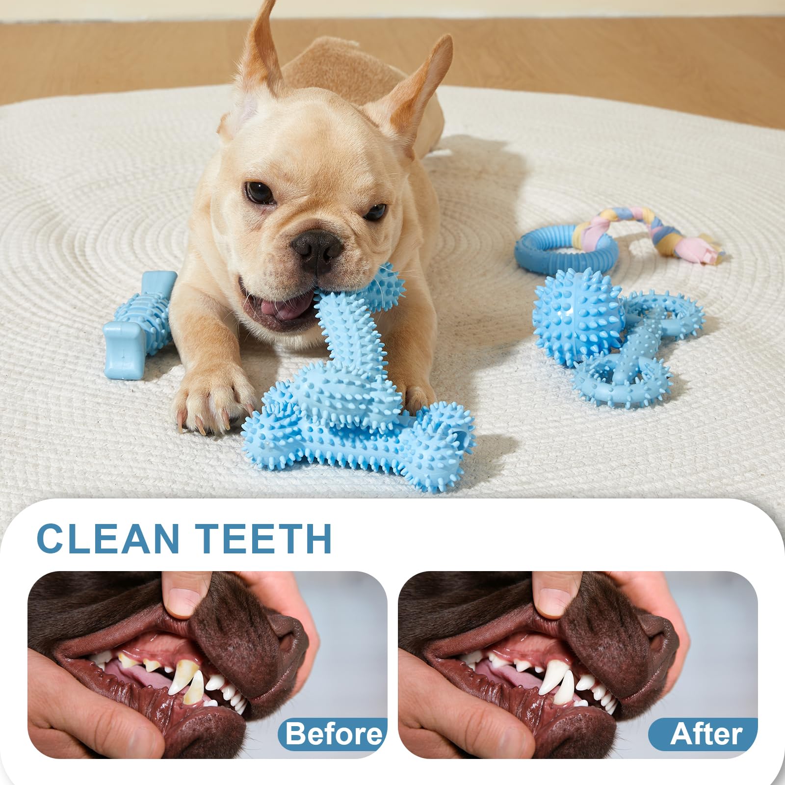 6 Pack Dog Chew Toys For Puppy Cute Blue Small Dog Toys Puppy Dog Toys For Teething Soft Durable Interactive Chew Toy For Small