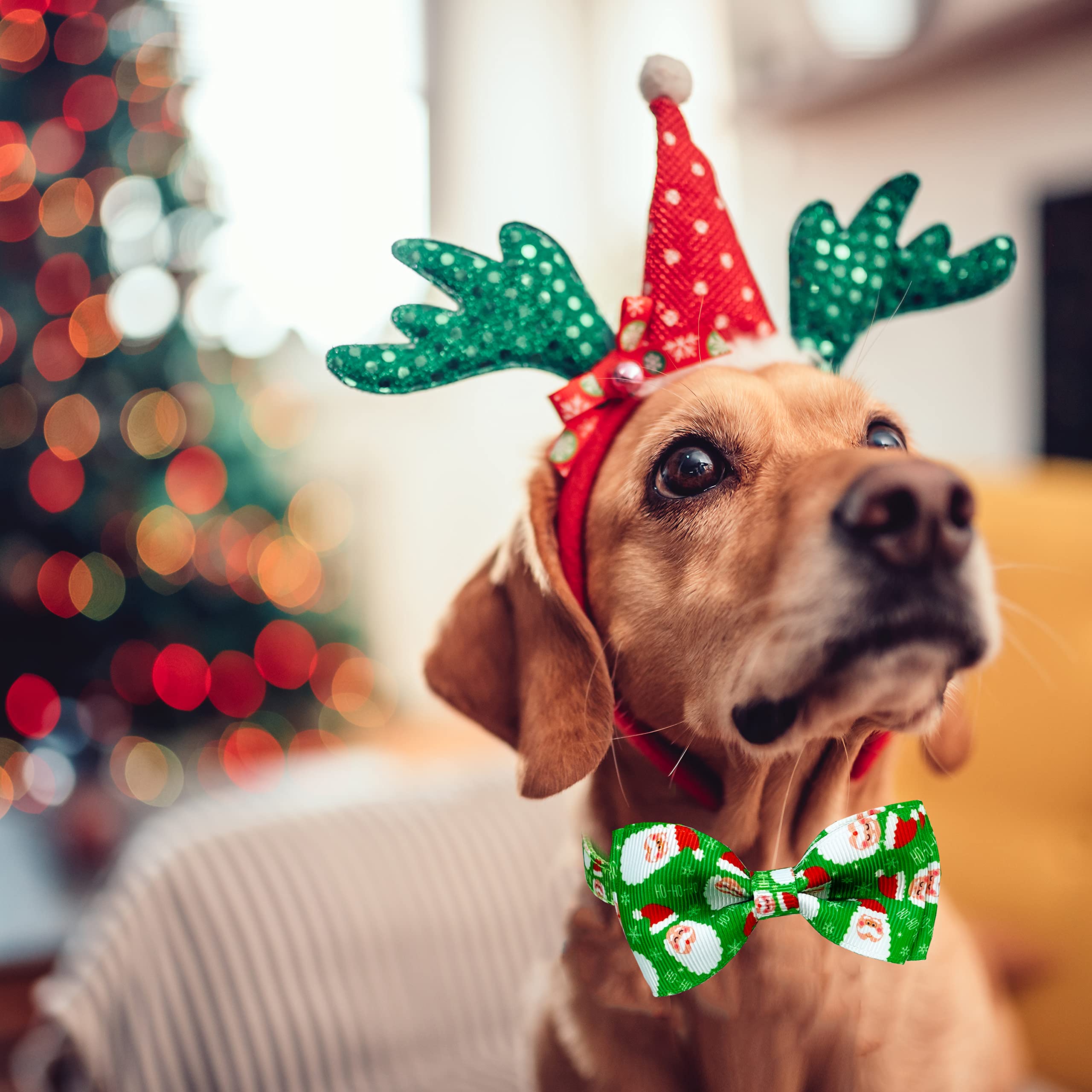 Christmas Dog Collar With Bow Tie, 2 Pack Holiday Santa Claus And Snowflake Collar For Small Medium Large Dogs Pets Puppies (Medium)