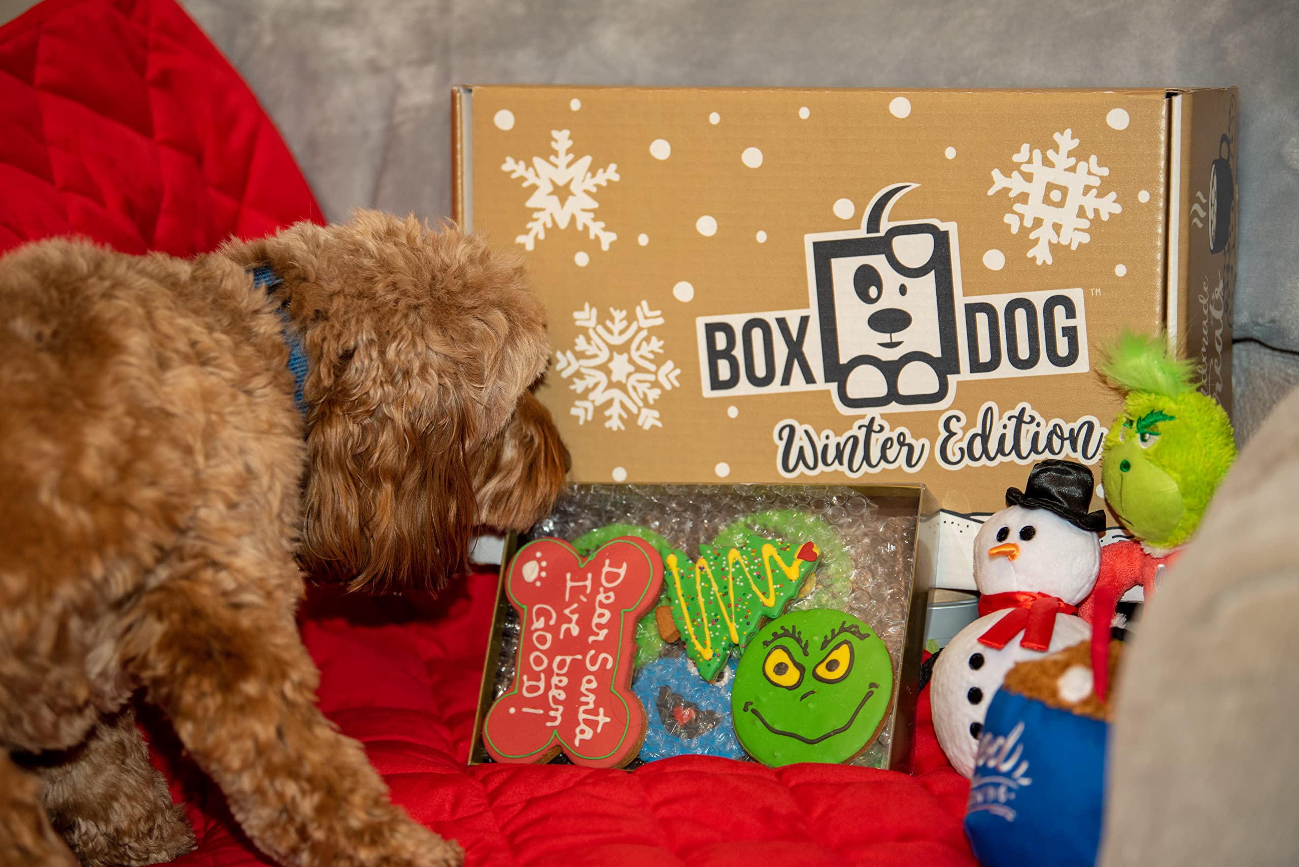 BoxDog Christmas Cookies for Dogs Handmade Holiday Cookie Gift for Dogs | Christmas Dog Treats You can eat with Your Dog! |